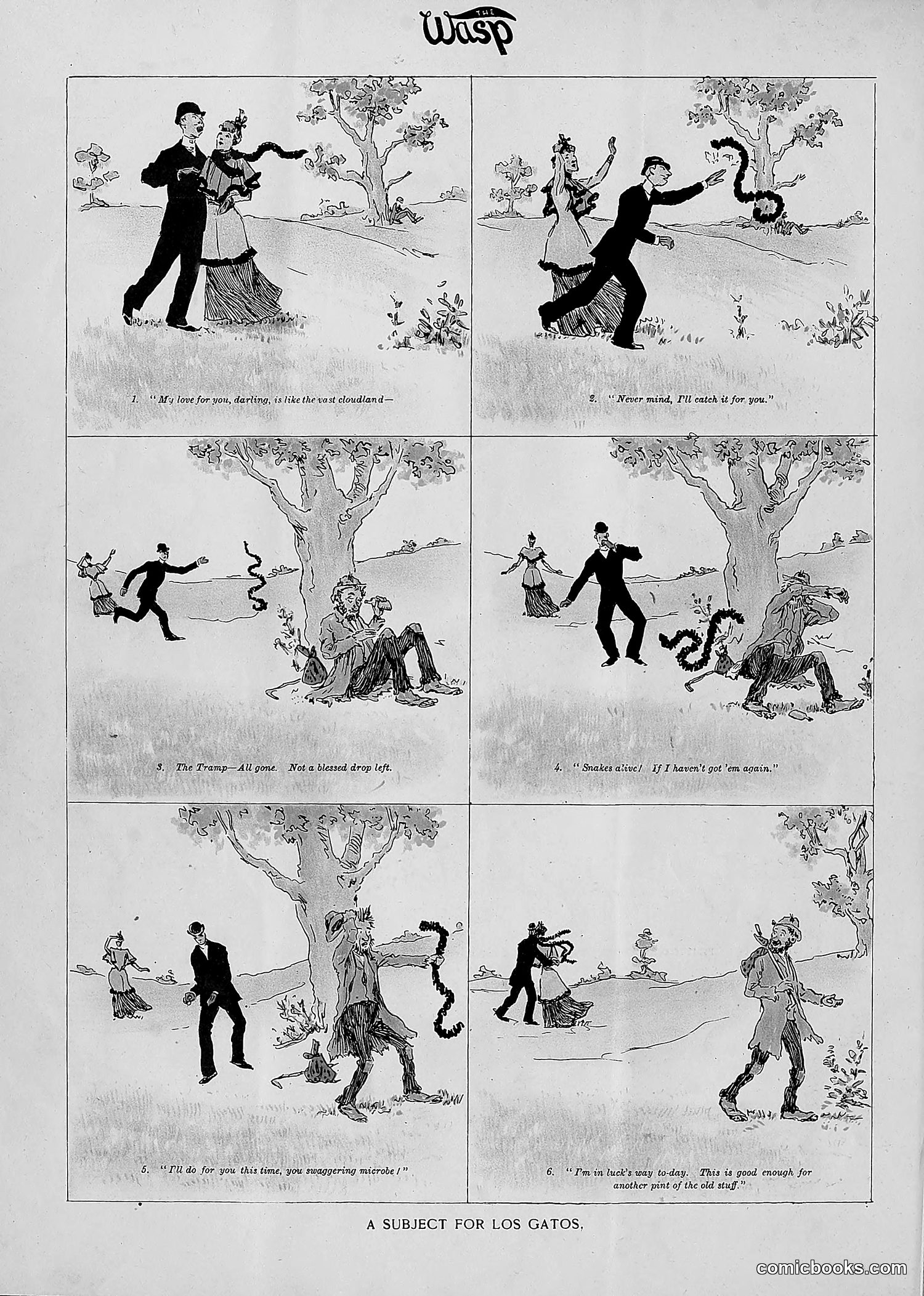 The Wasp — 1893 — page 149 of 514