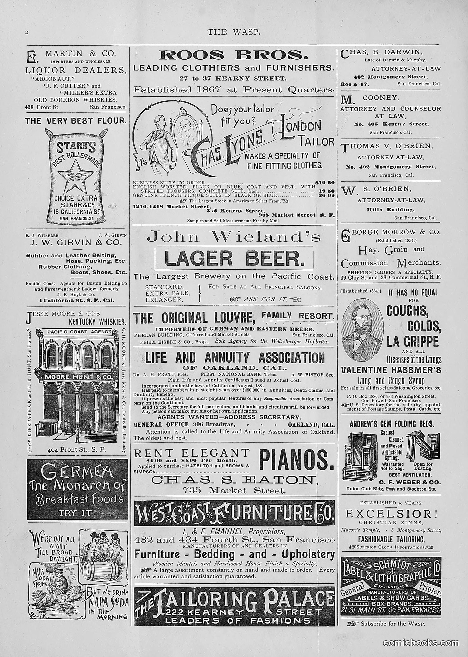 The Wasp — 1893 — page 151 of 514