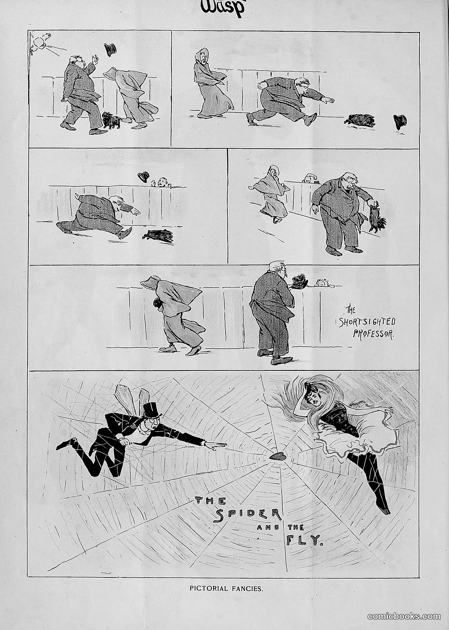 The Wasp — 1893 — page 17 of 514