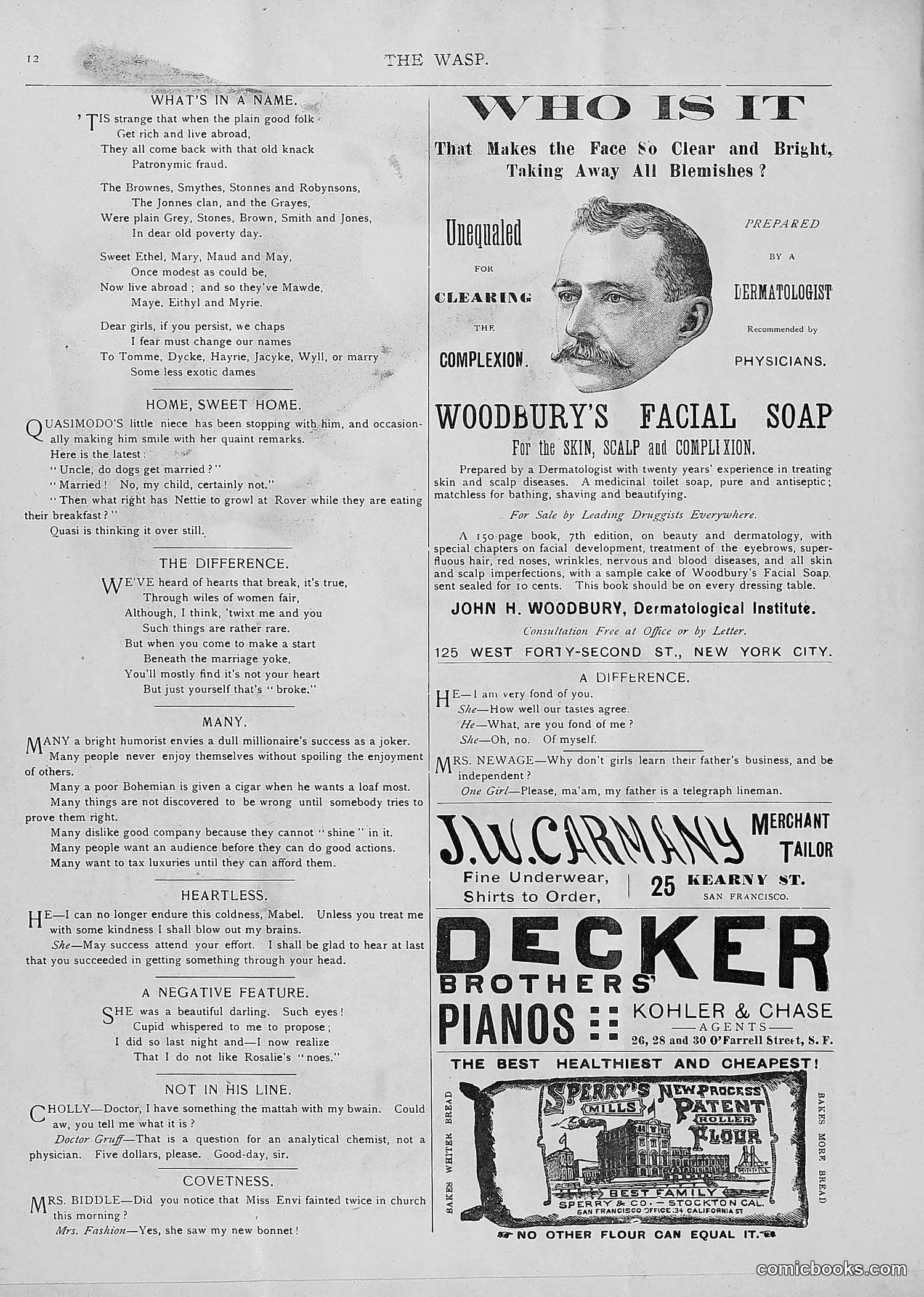 The Wasp — 1893 — page 161 of 514