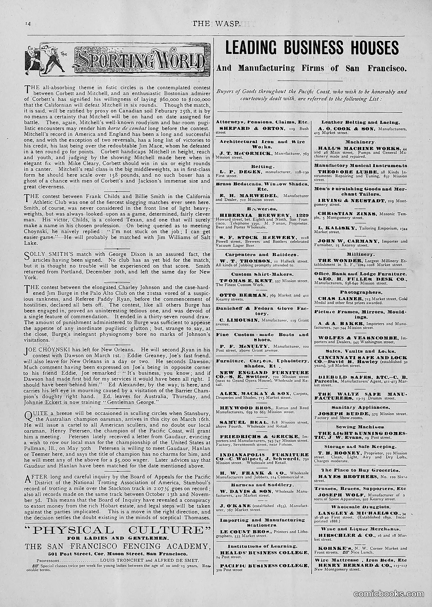 The Wasp — 1893 — page 163 of 514