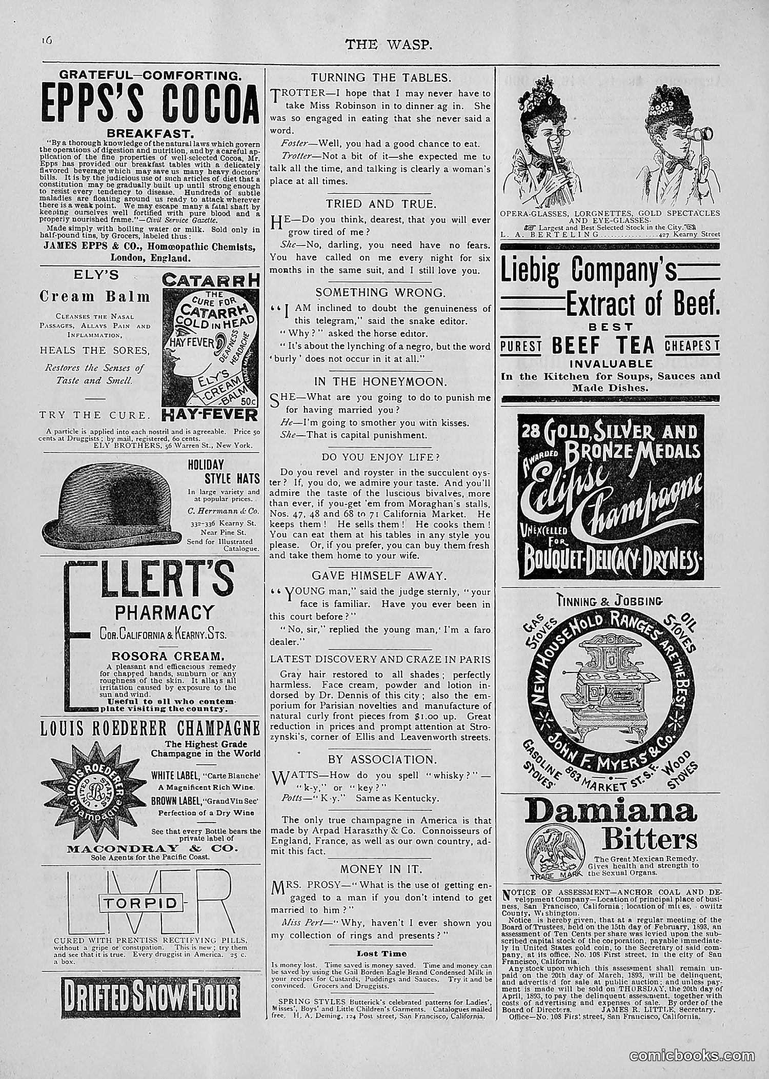 The Wasp — 1893 — page 165 of 514