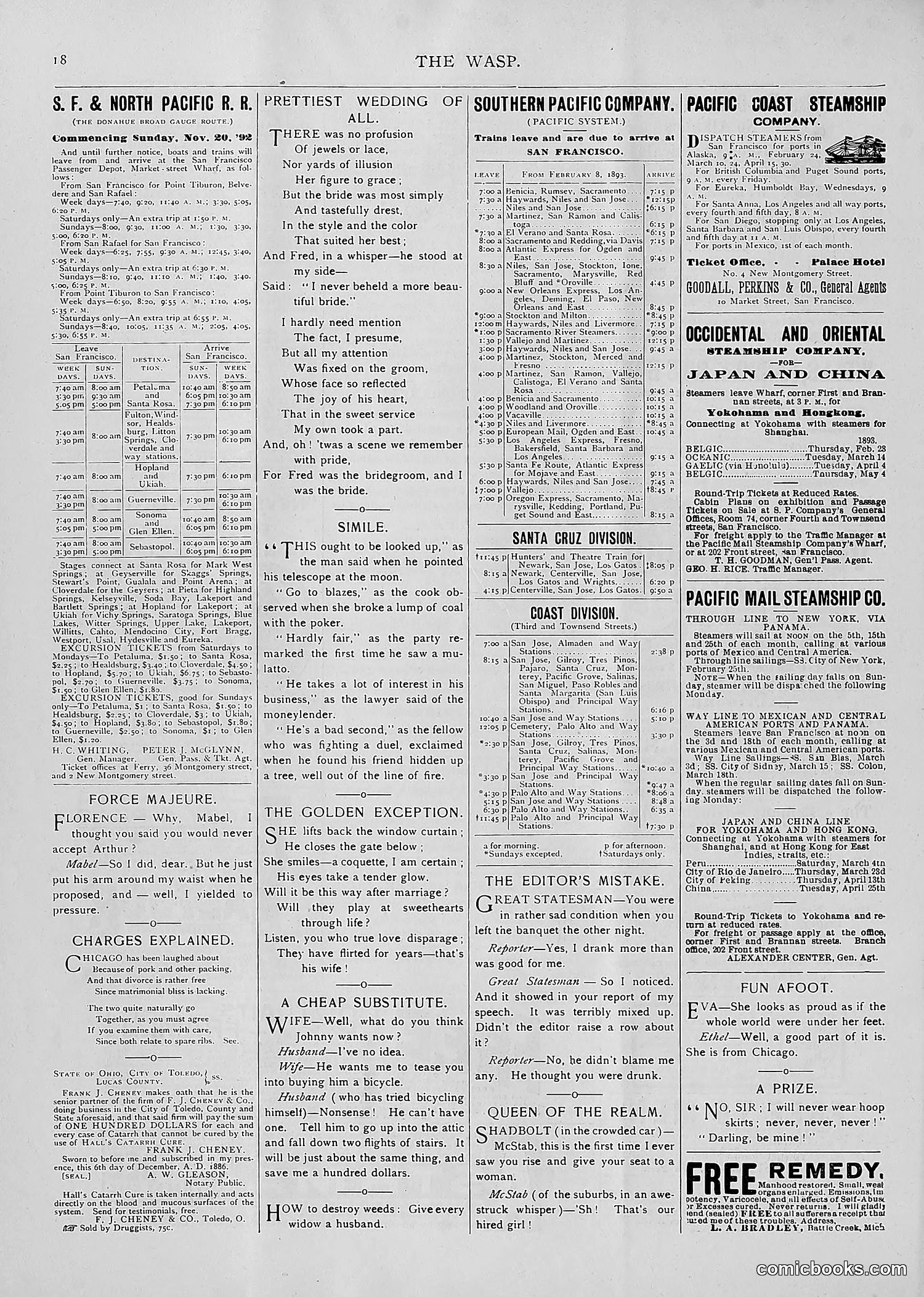 The Wasp — 1893 — page 167 of 514