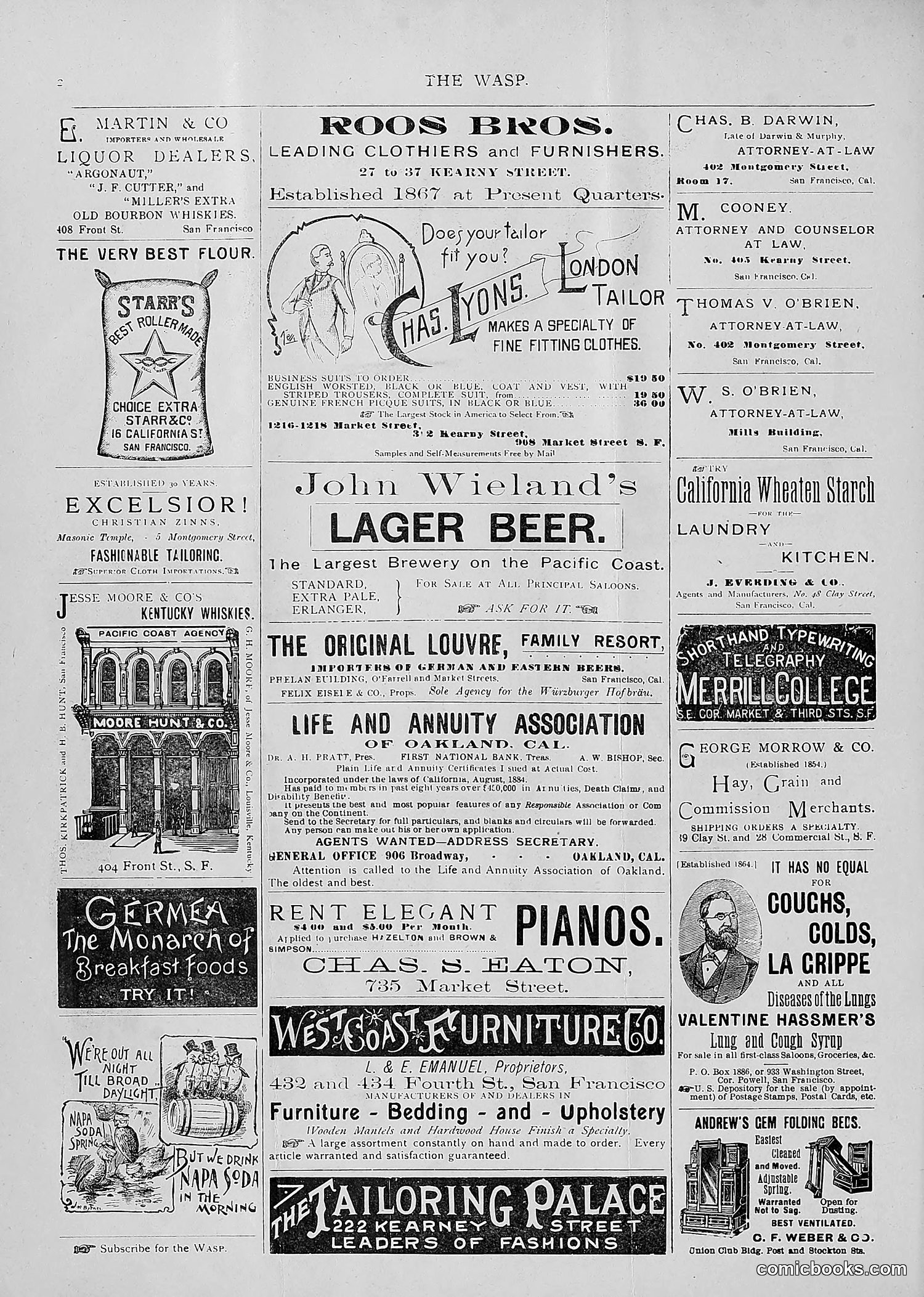 The Wasp — 1893 — page 171 of 514