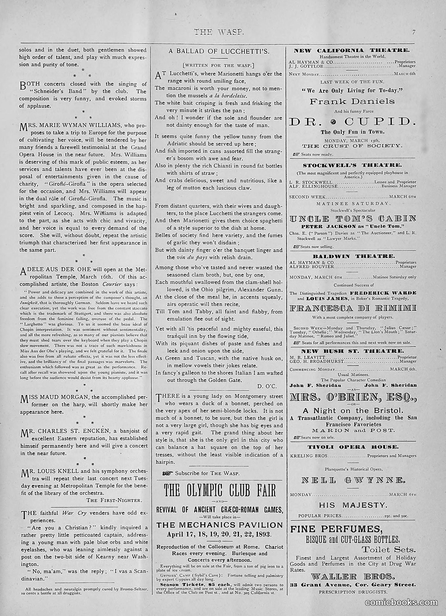 The Wasp — 1893 — page 176 of 514