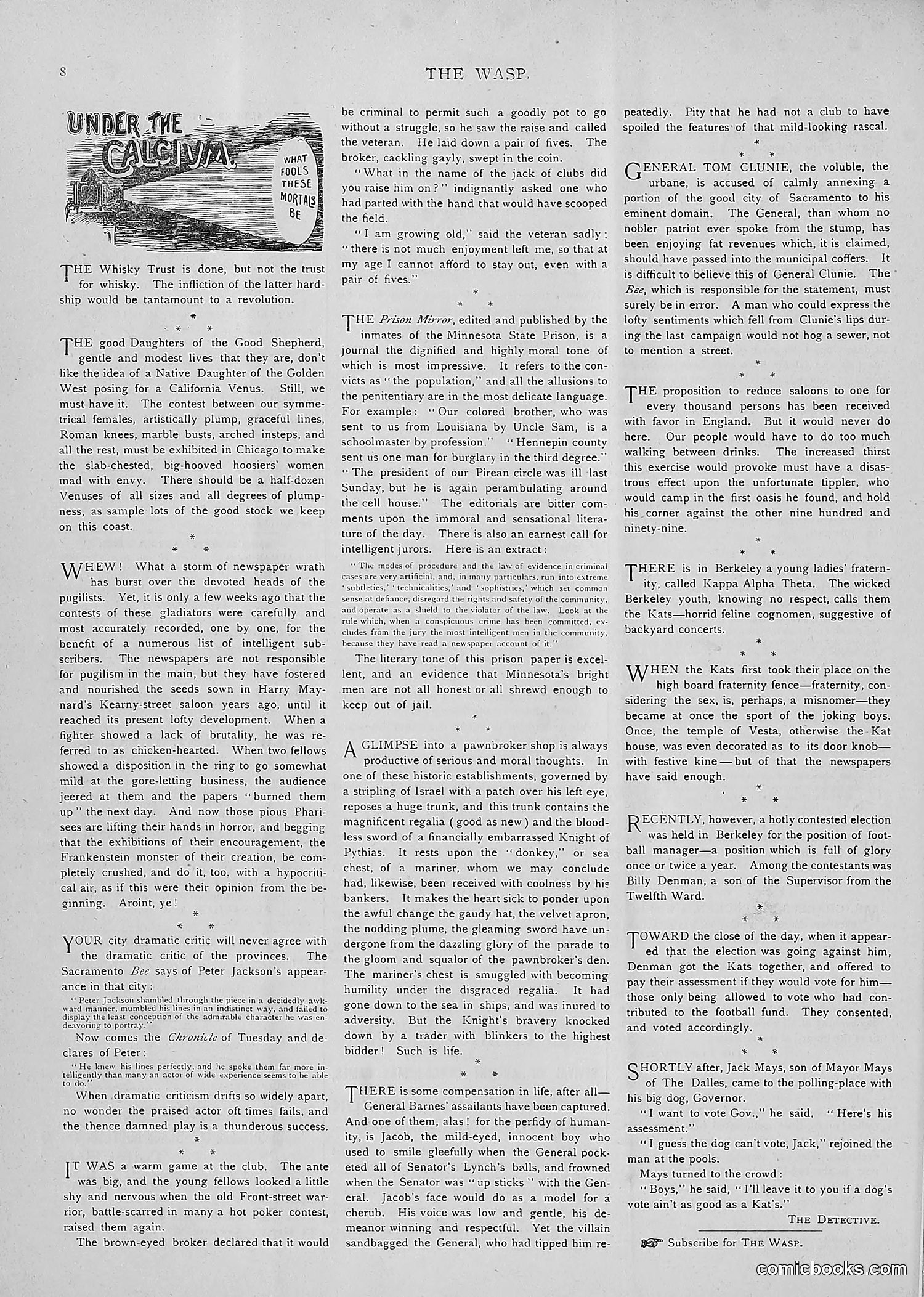 The Wasp — 1893 — page 177 of 514