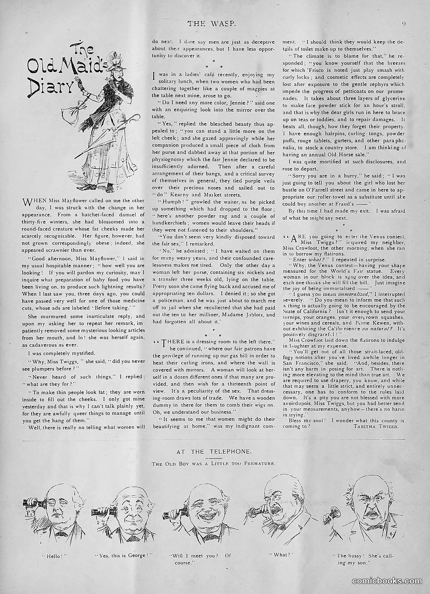 The Wasp — 1893 — page 178 of 514