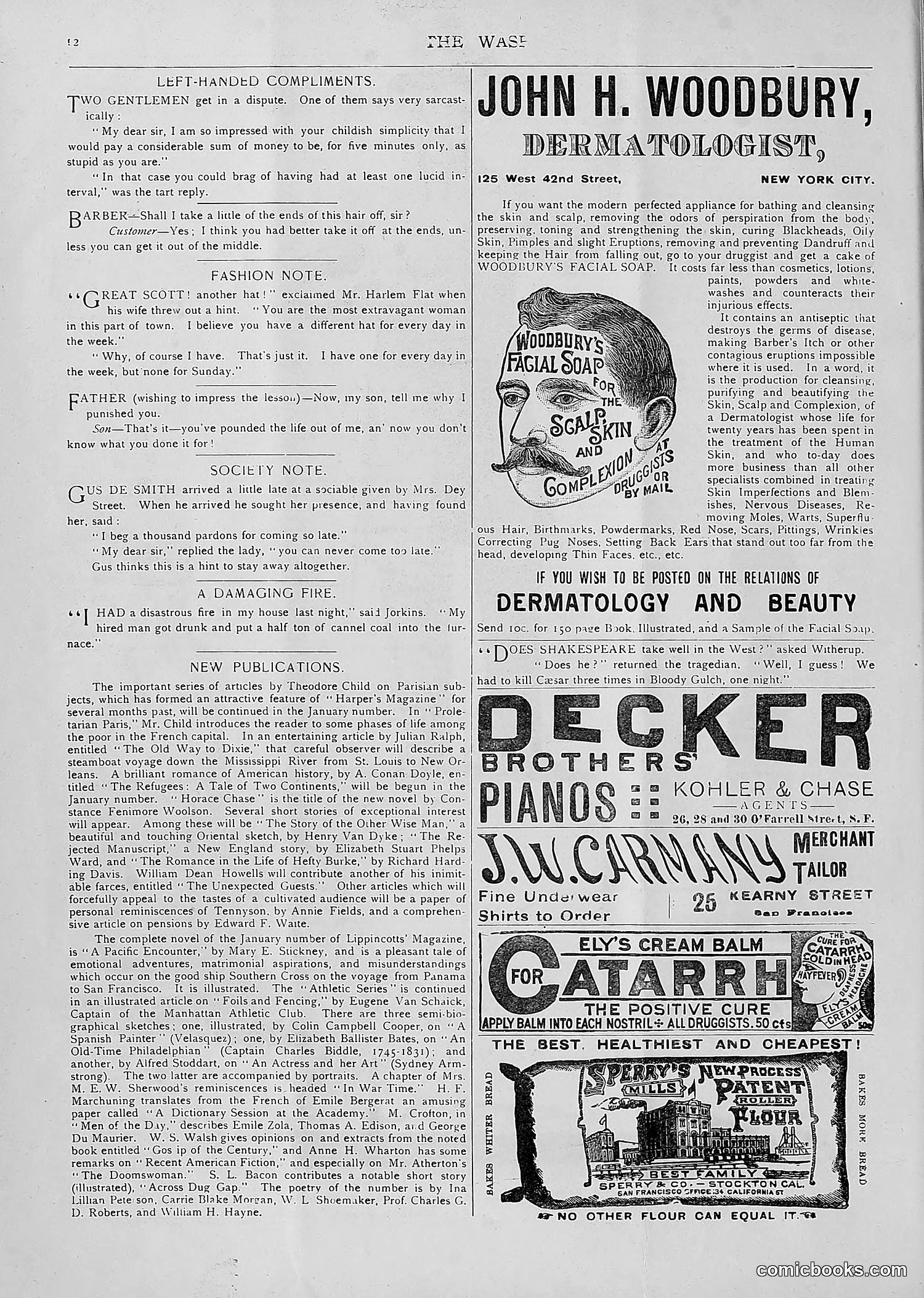 The Wasp — 1893 — page 19 of 514