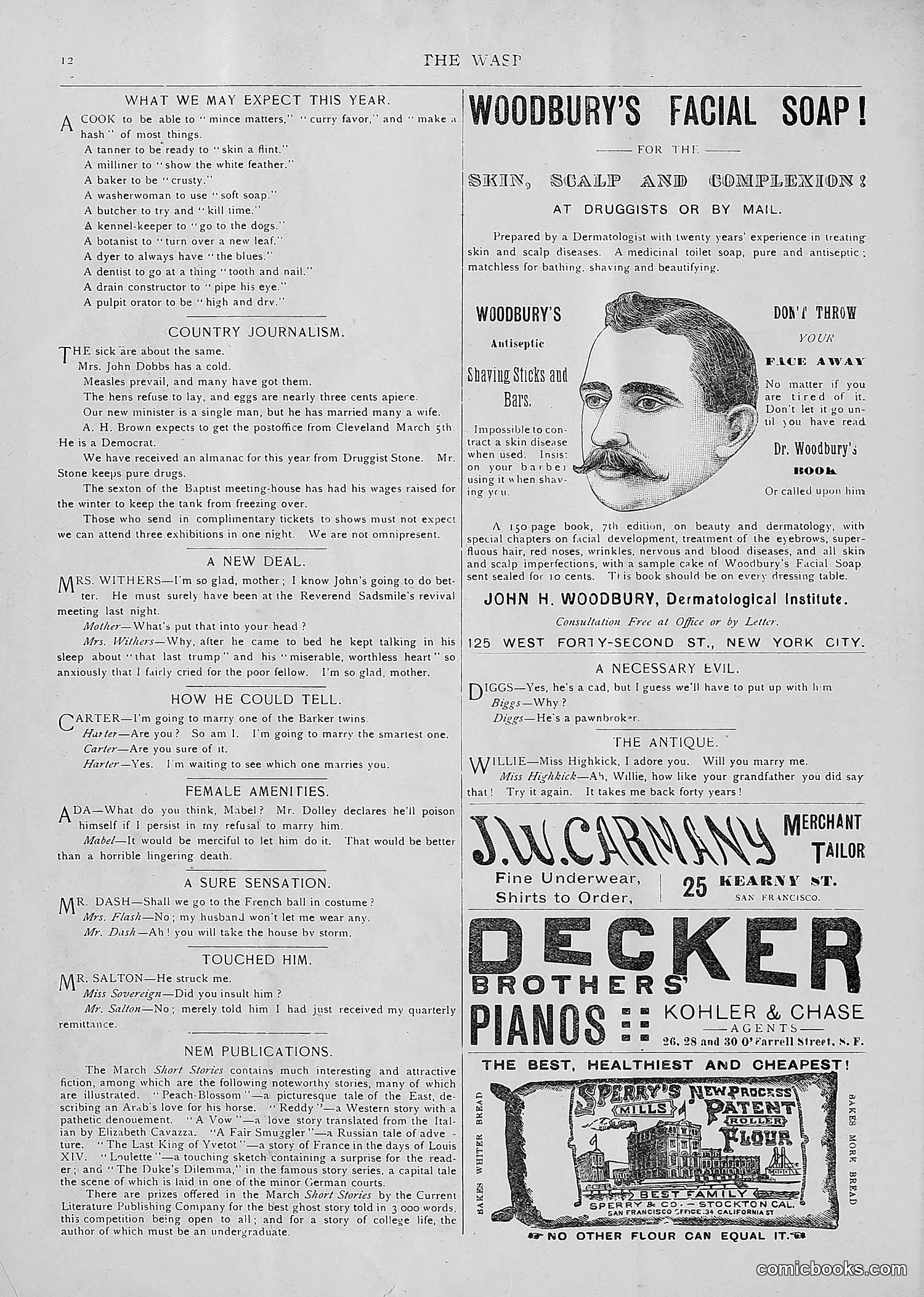 The Wasp — 1893 — page 181 of 514