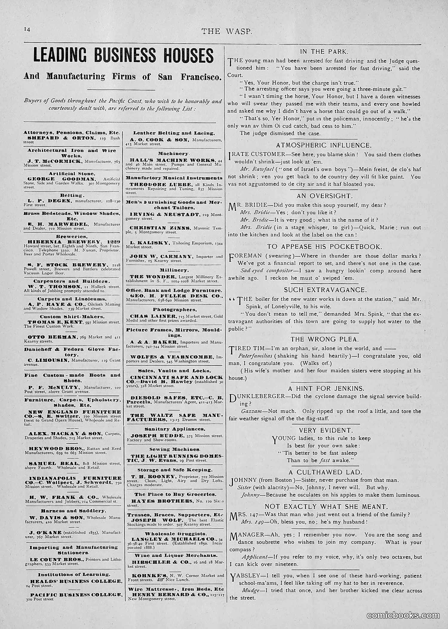 The Wasp — 1893 — page 183 of 514