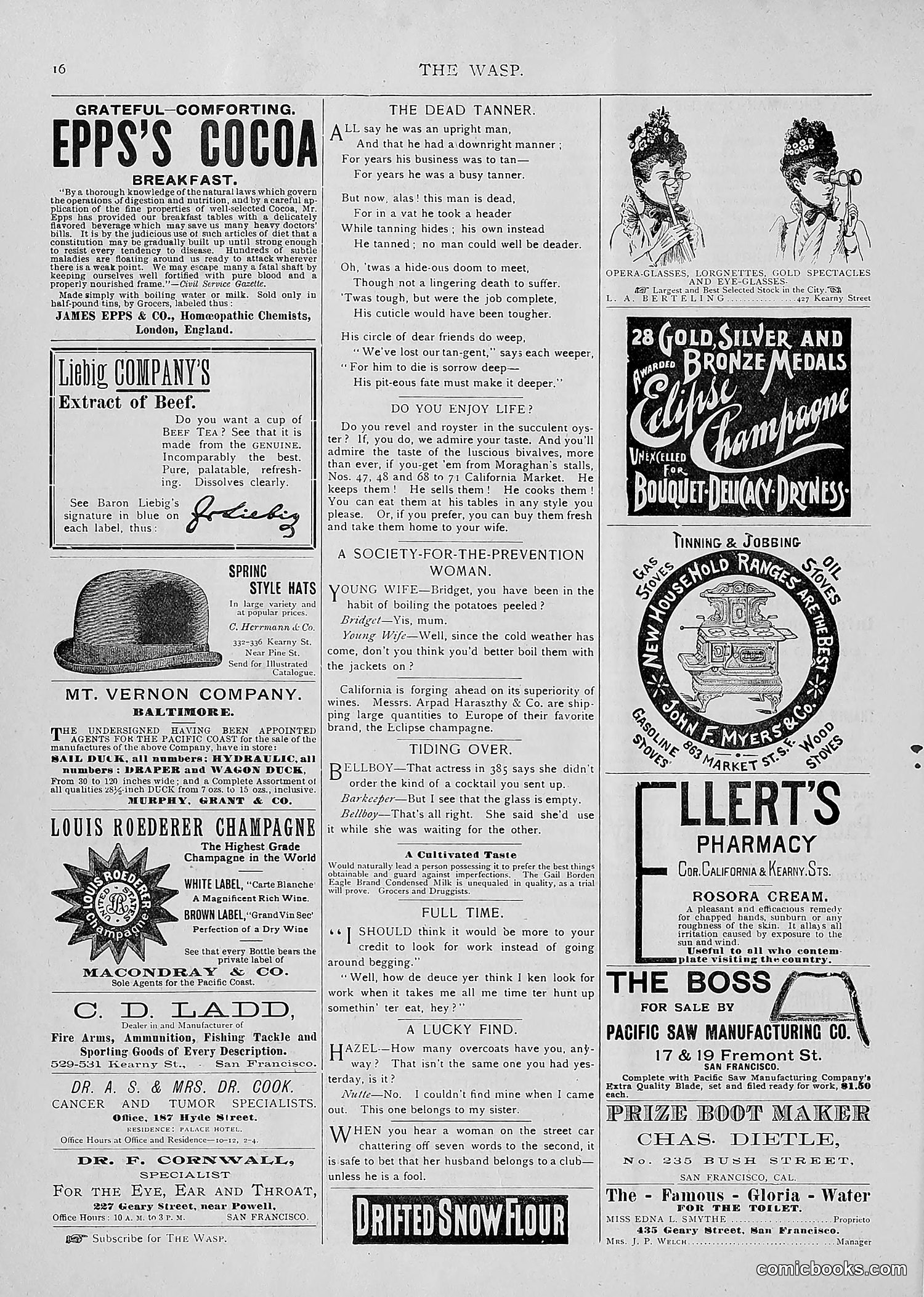 The Wasp — 1893 — page 185 of 514