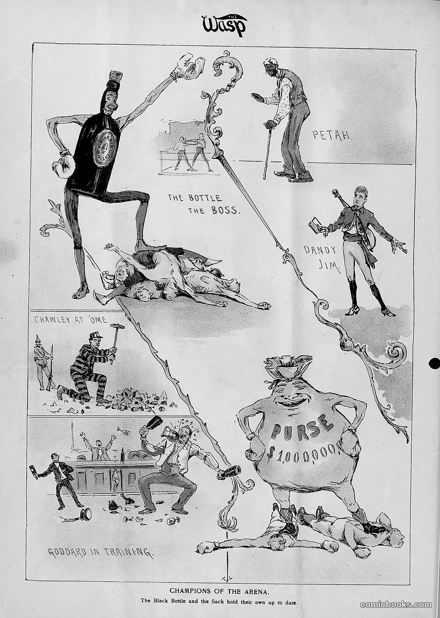 The Wasp — 1893 — page 189 of 514