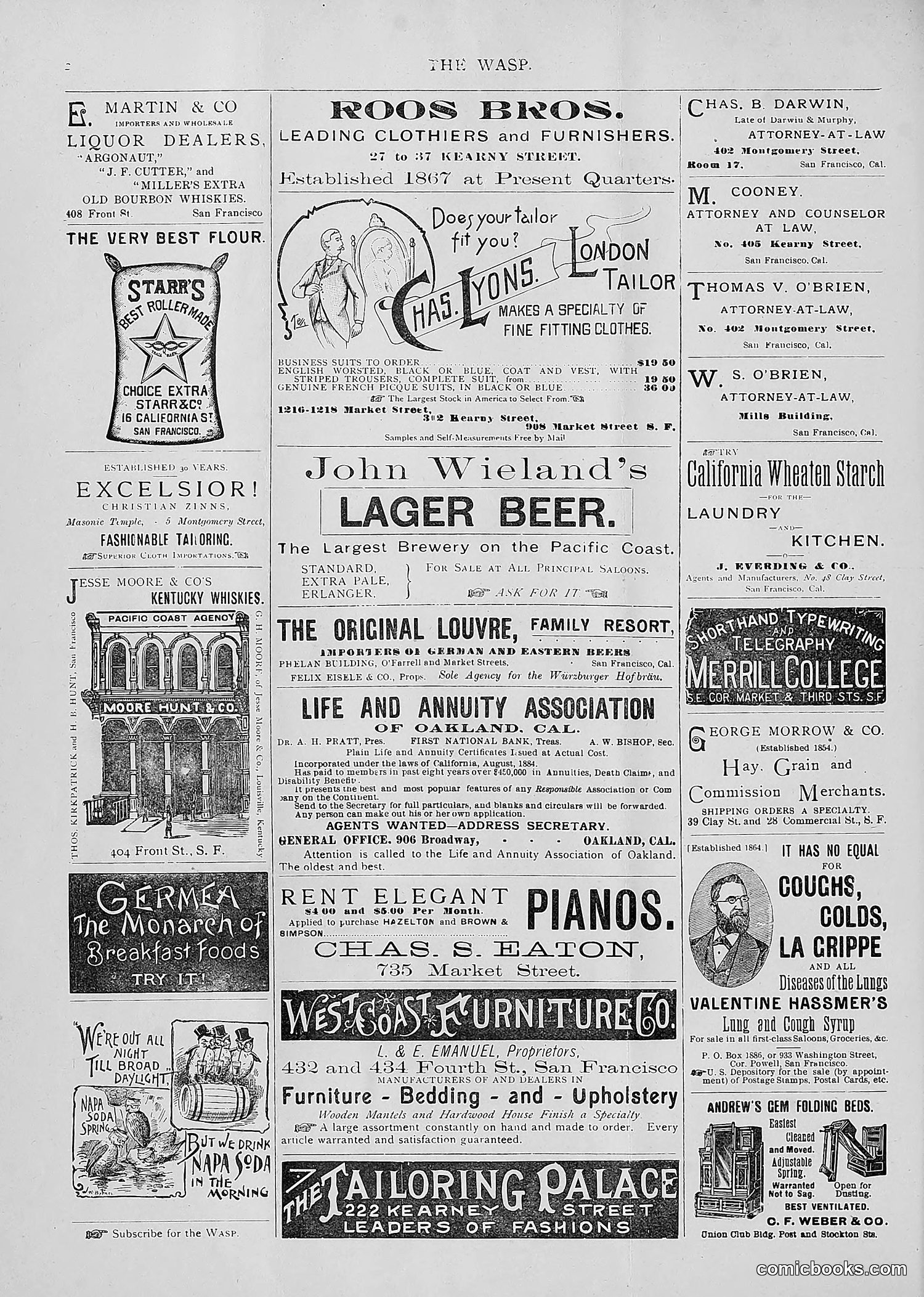 The Wasp — 1893 — page 191 of 514