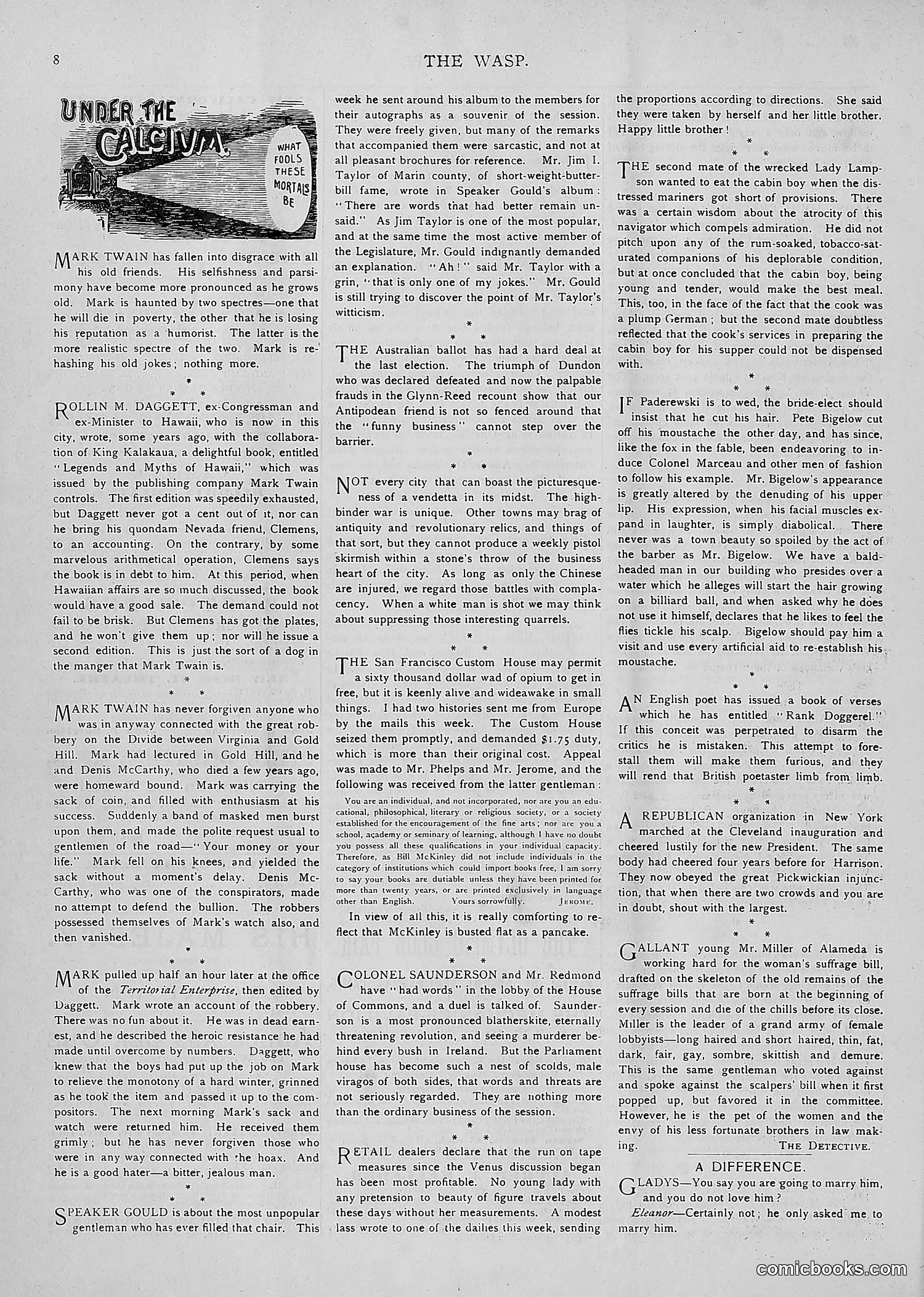 The Wasp — 1893 — page 197 of 514