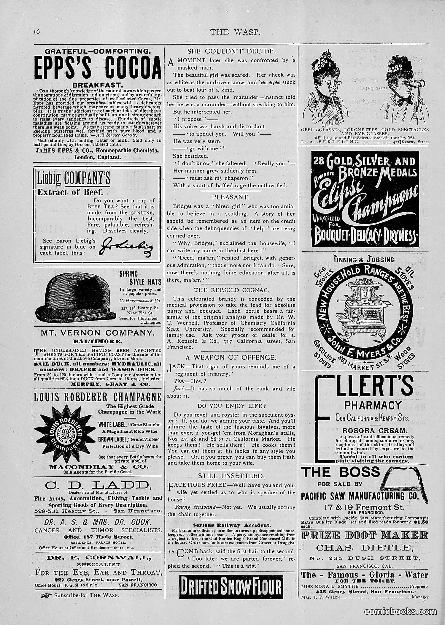 The Wasp — 1893 — page 205 of 514