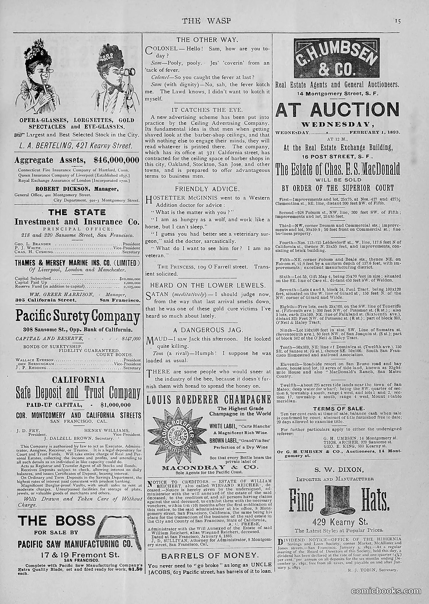 The Wasp — 1893 — page 22 of 514