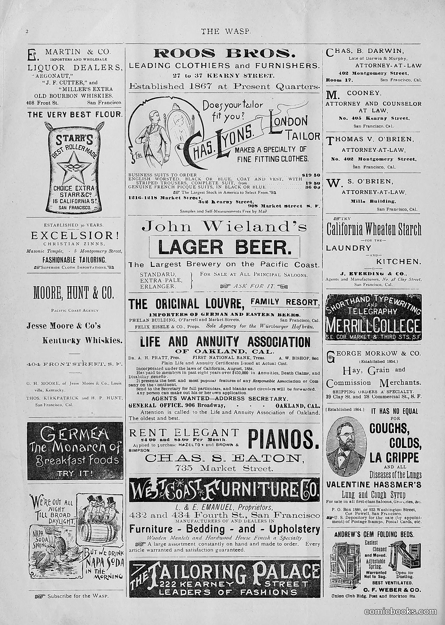 The Wasp — 1893 — page 211 of 514
