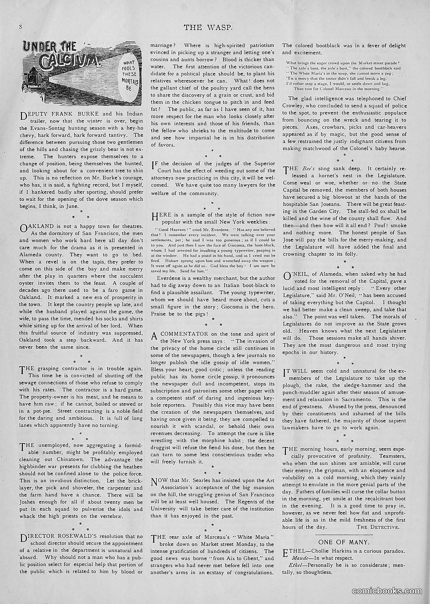 The Wasp — 1893 — page 217 of 514