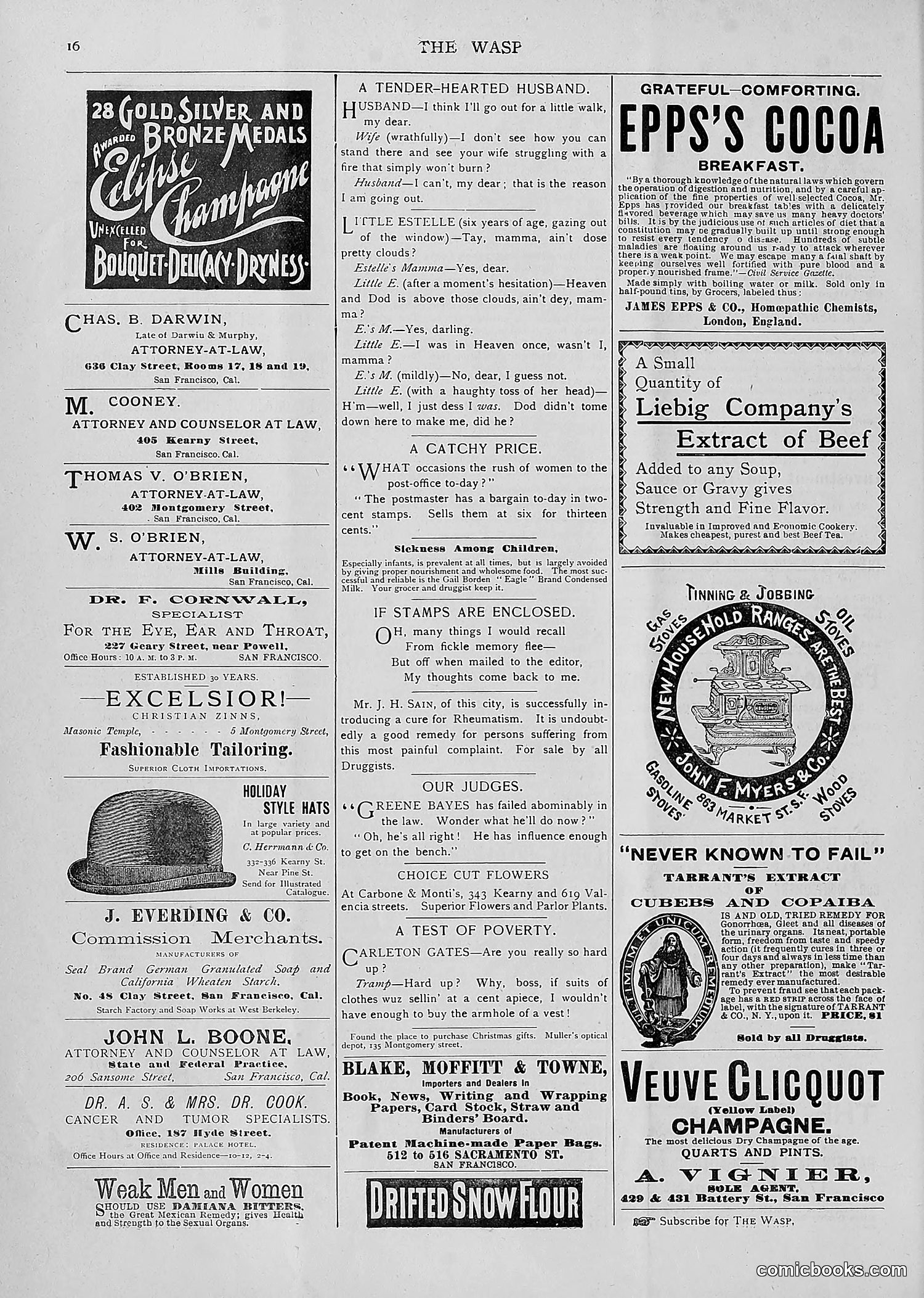 The Wasp — 1893 — page 23 of 514
