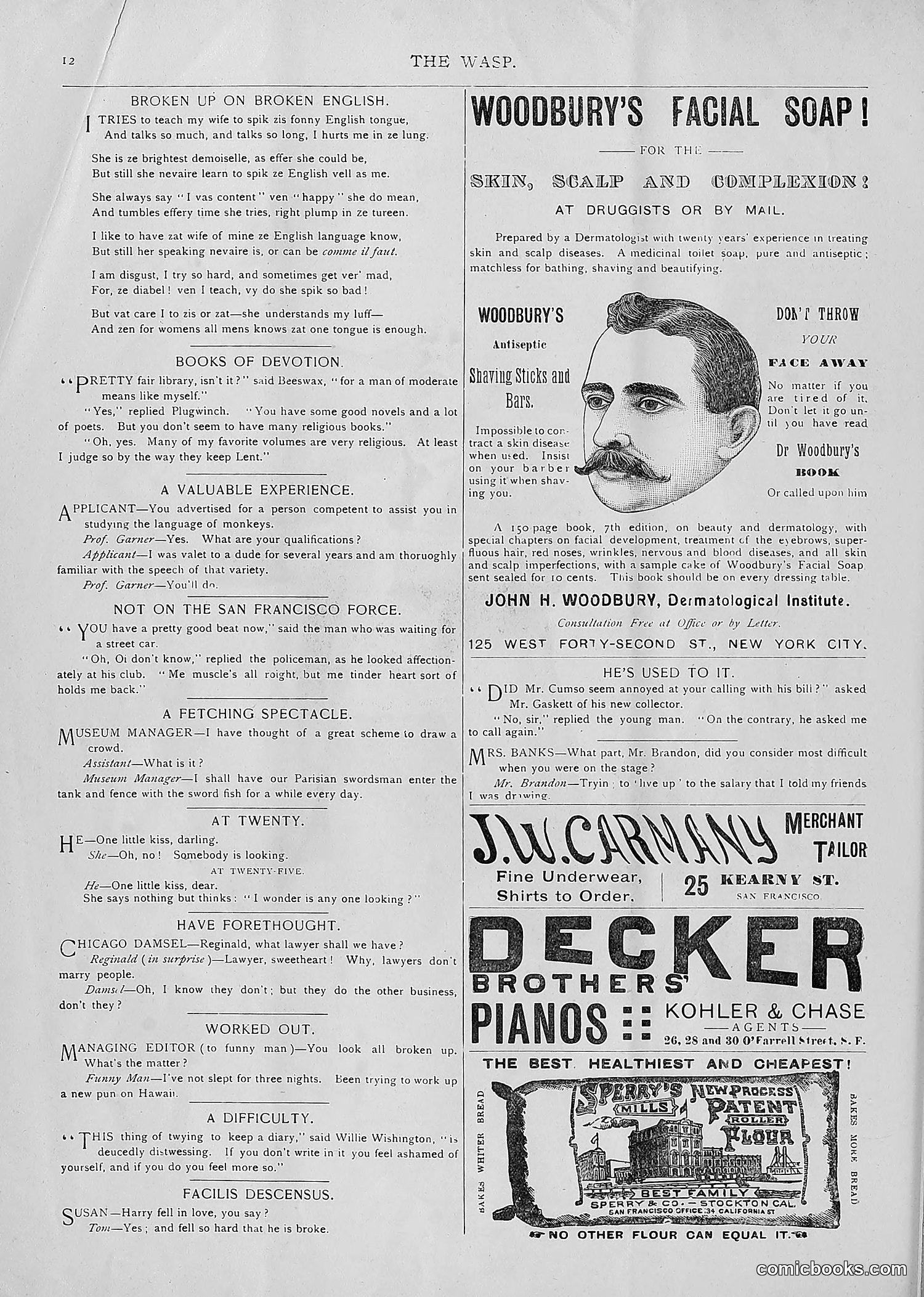 The Wasp — 1893 — page 221 of 514