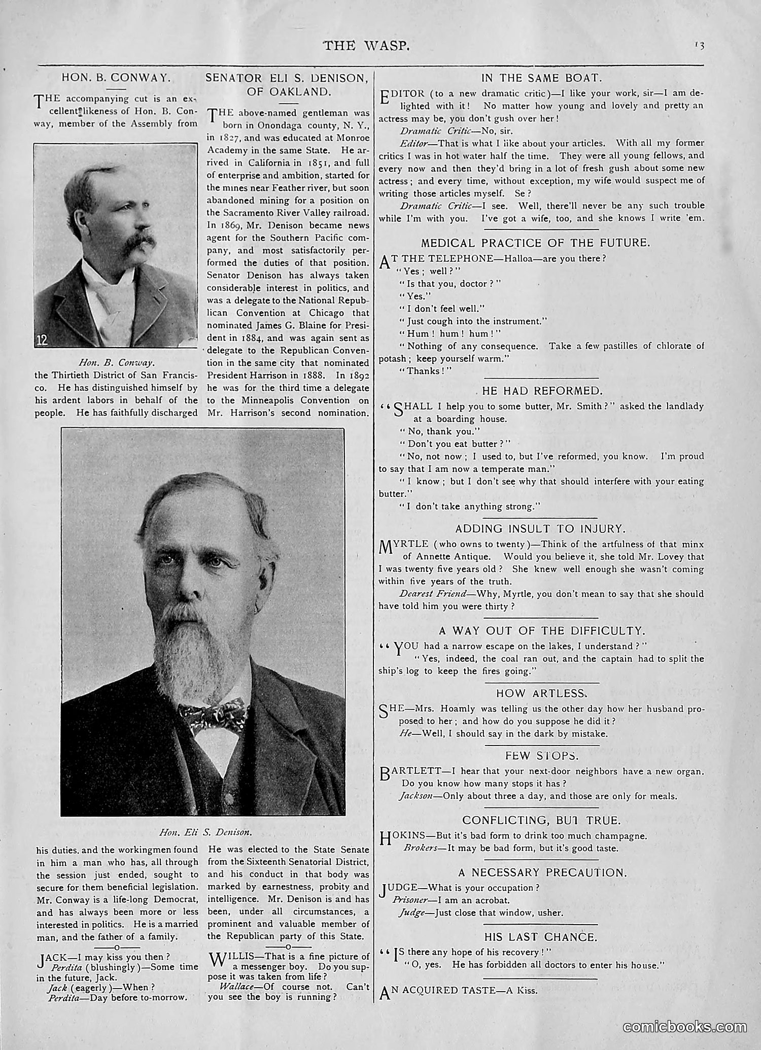 The Wasp — 1893 — page 222 of 514
