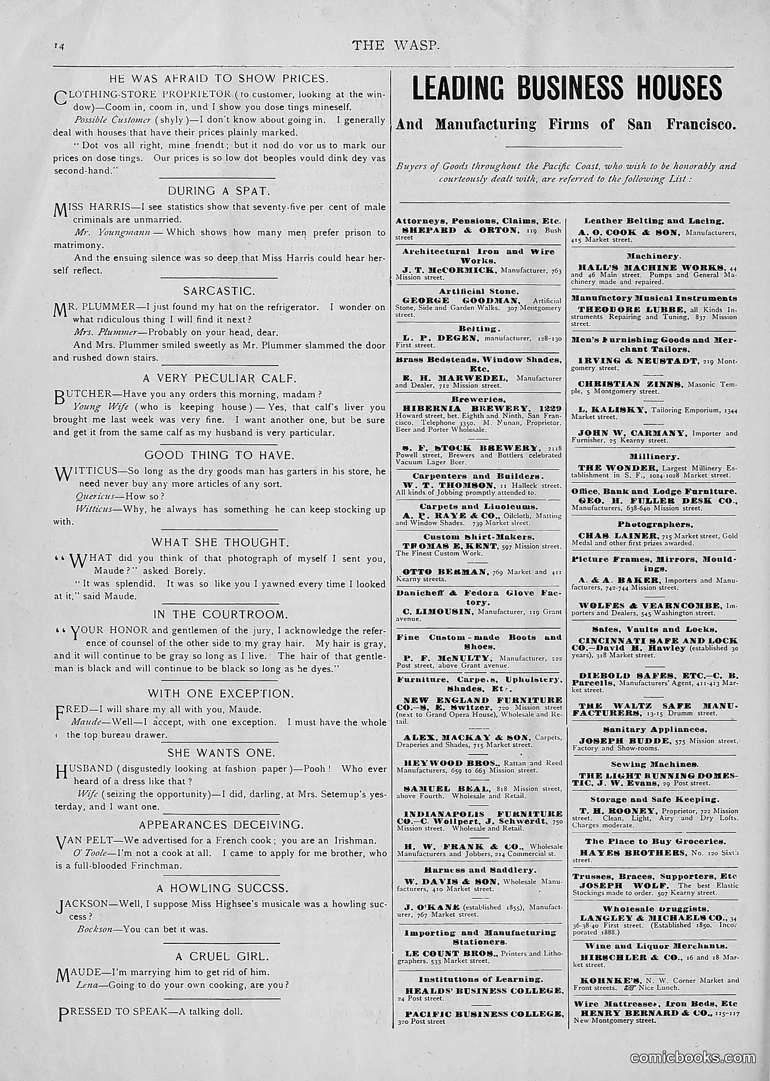 The Wasp — 1893 — page 223 of 514
