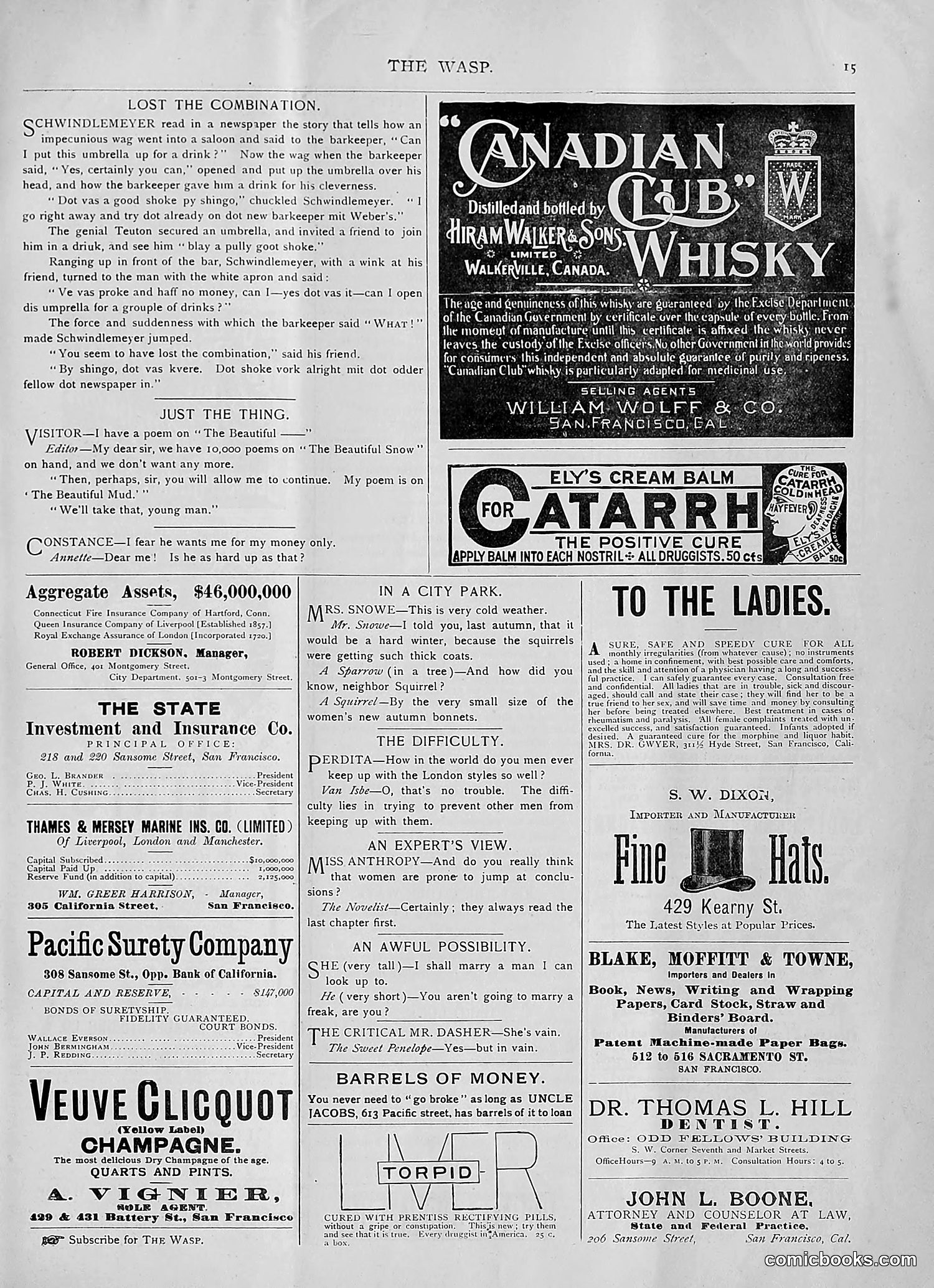 The Wasp — 1893 — page 224 of 514