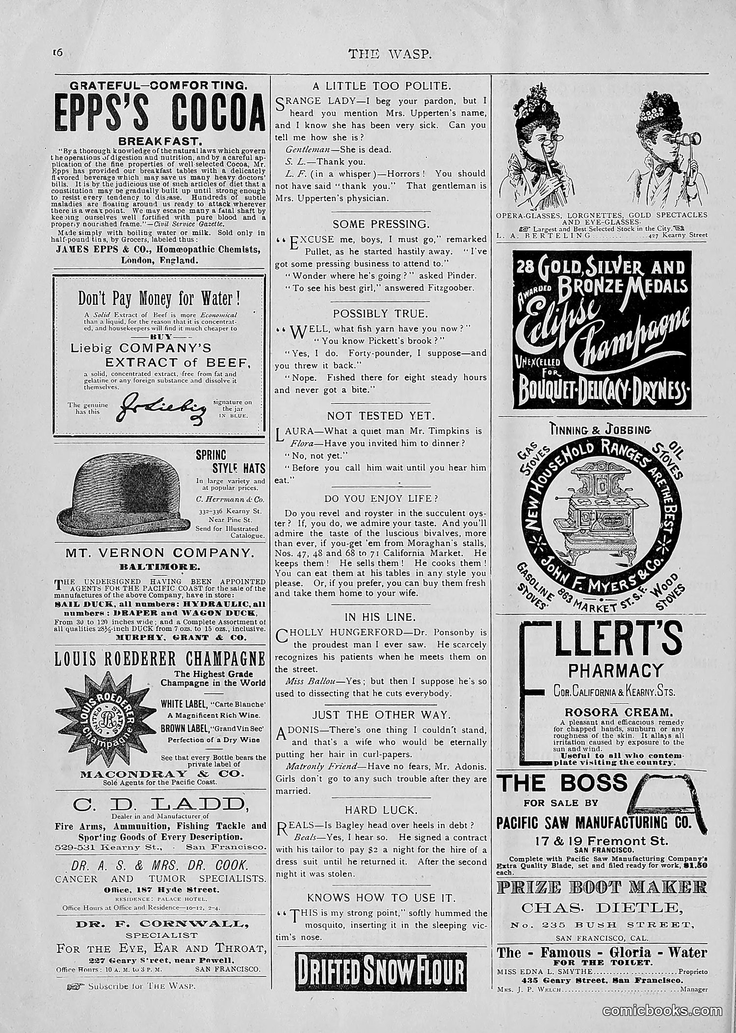 The Wasp — 1893 — page 225 of 514
