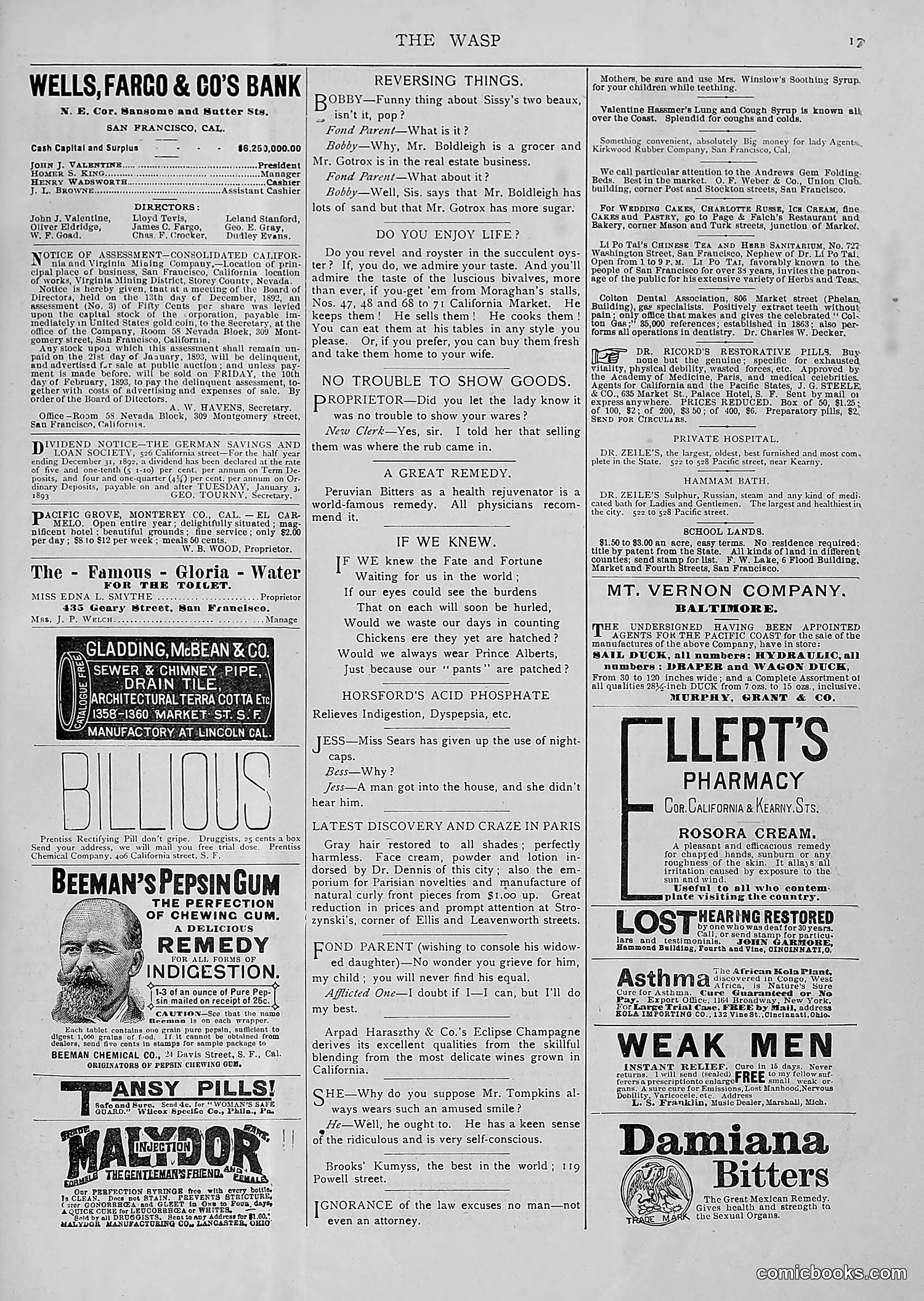The Wasp — 1893 — page 24 of 514