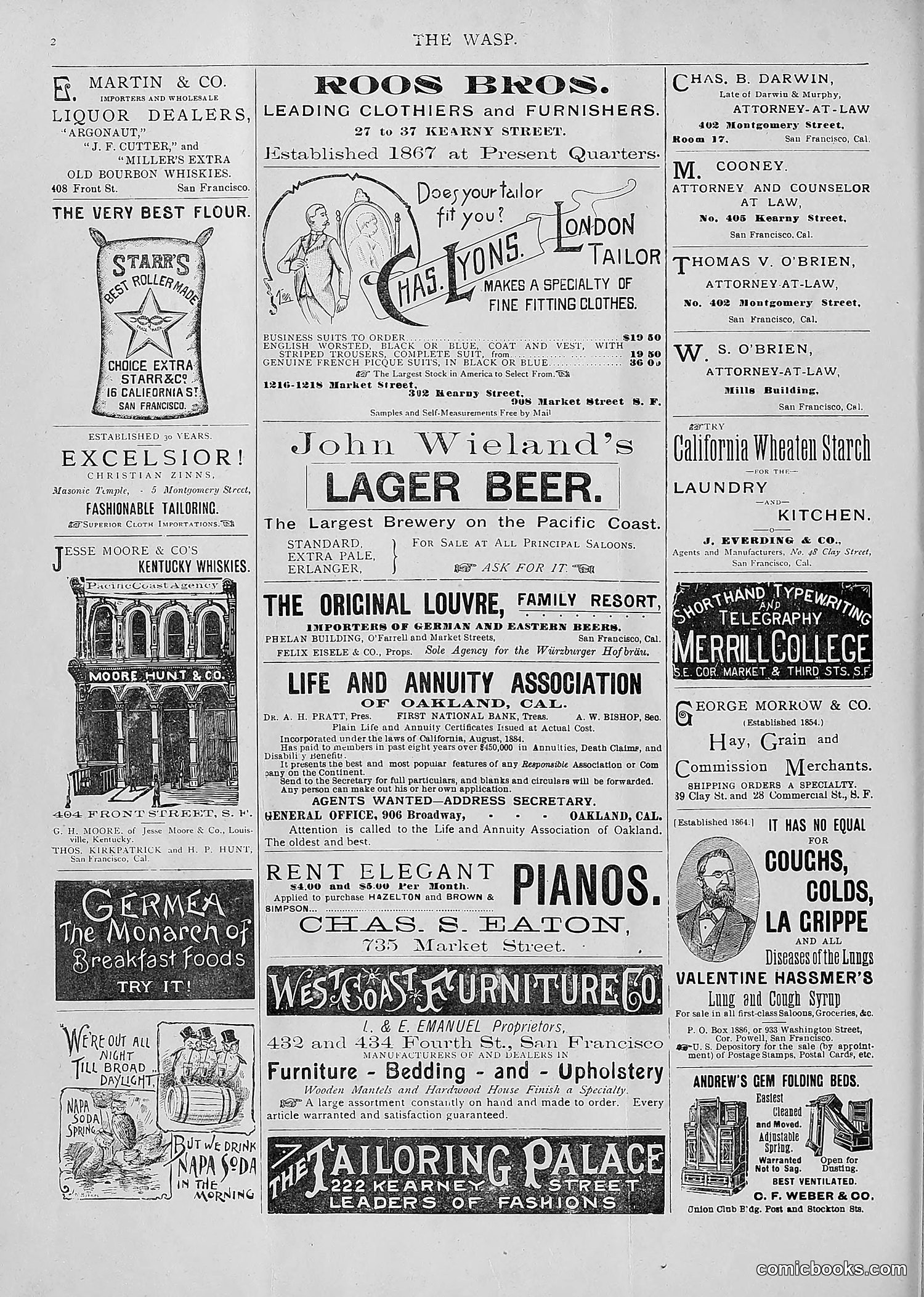 The Wasp — 1893 — page 231 of 514