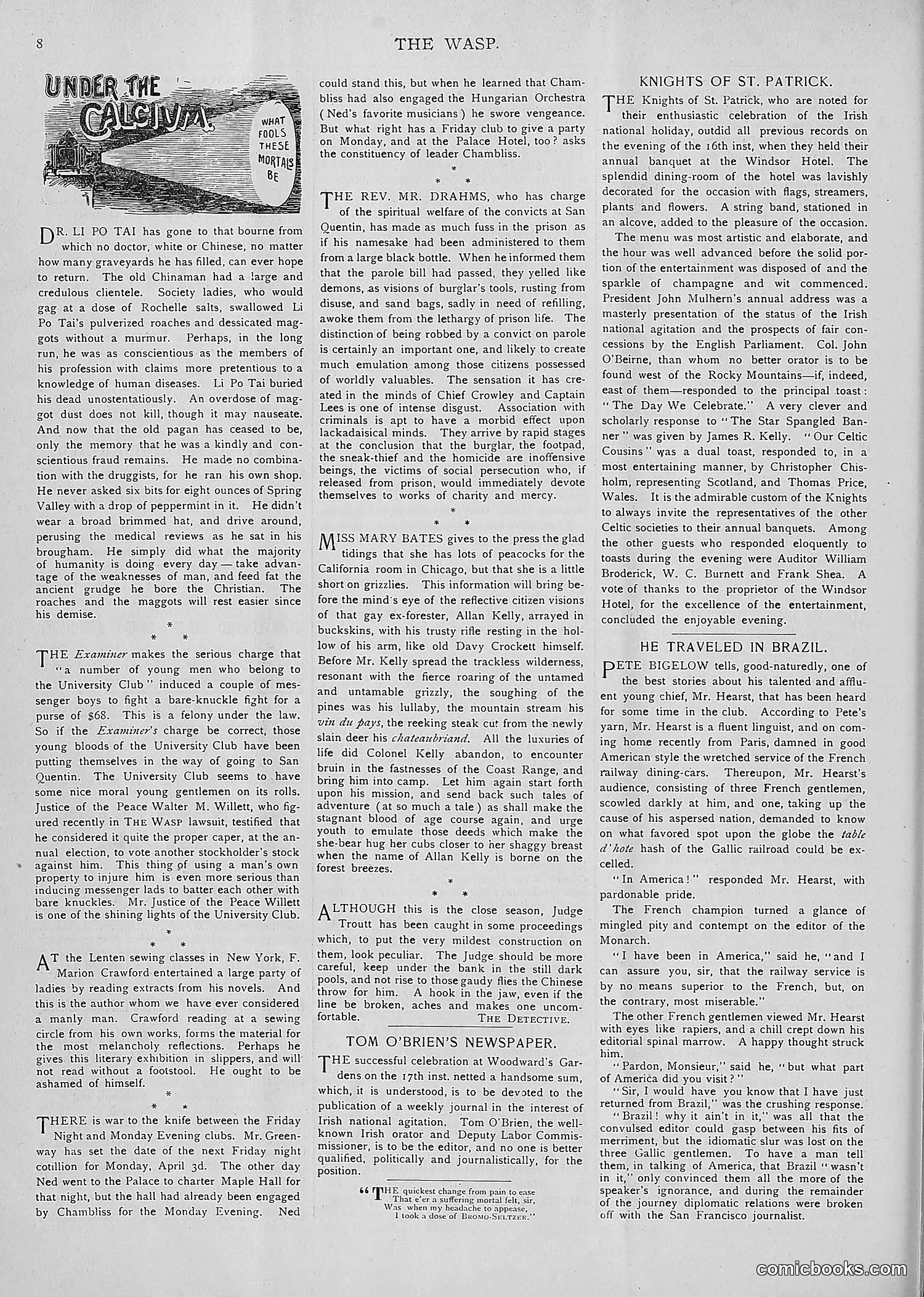 The Wasp — 1893 — page 237 of 514