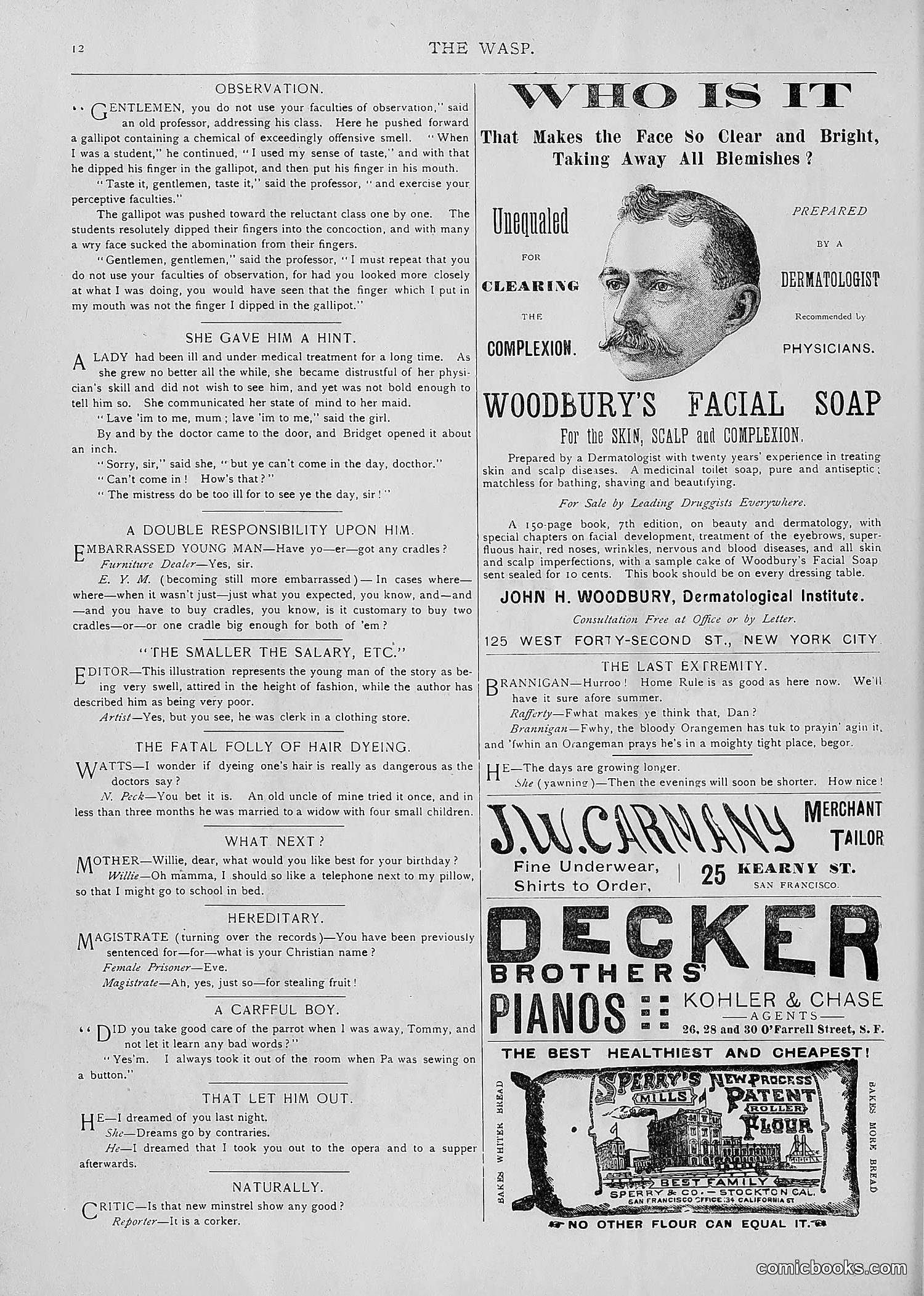 The Wasp — 1893 — page 241 of 514