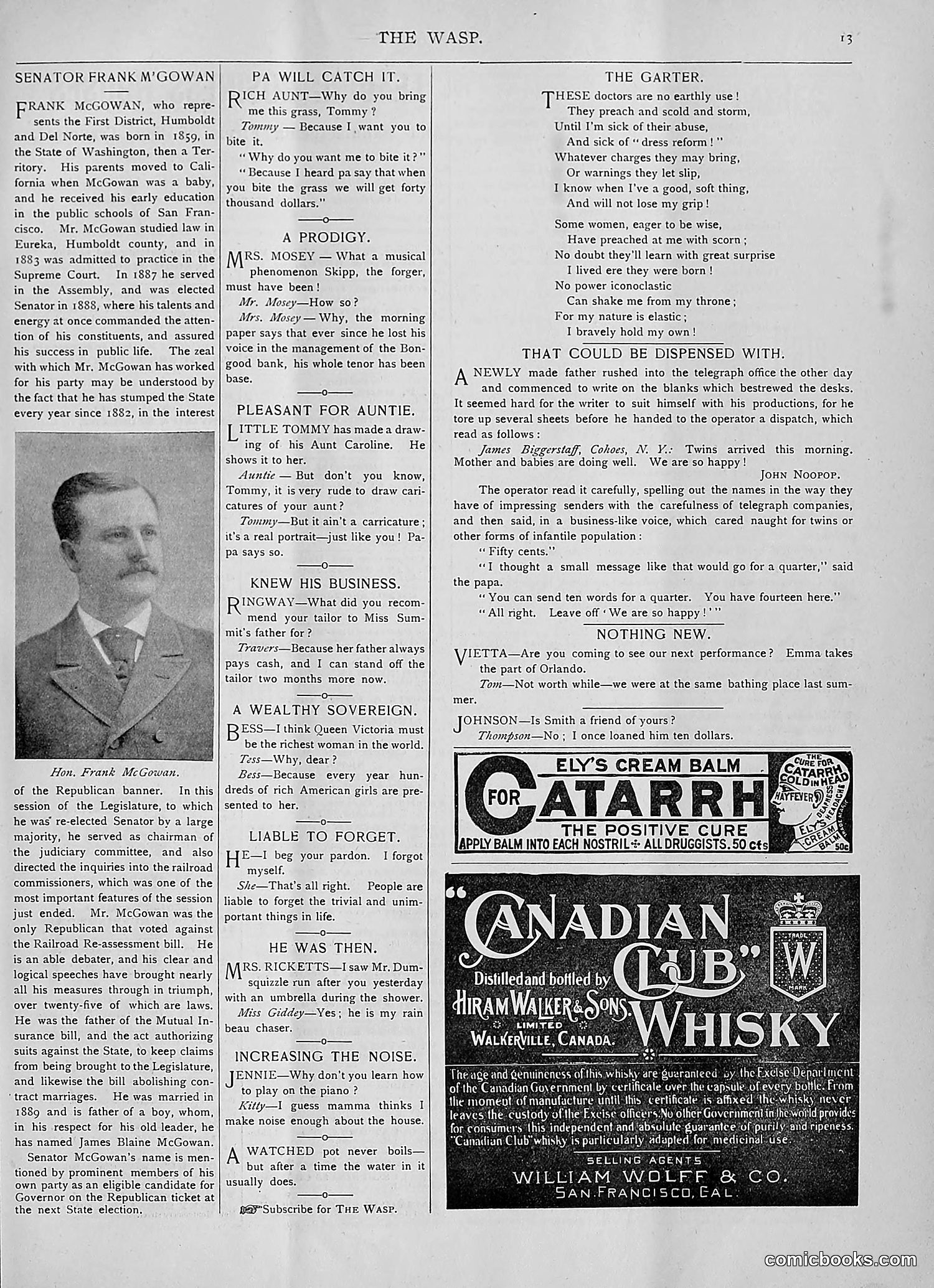 The Wasp — 1893 — page 242 of 514