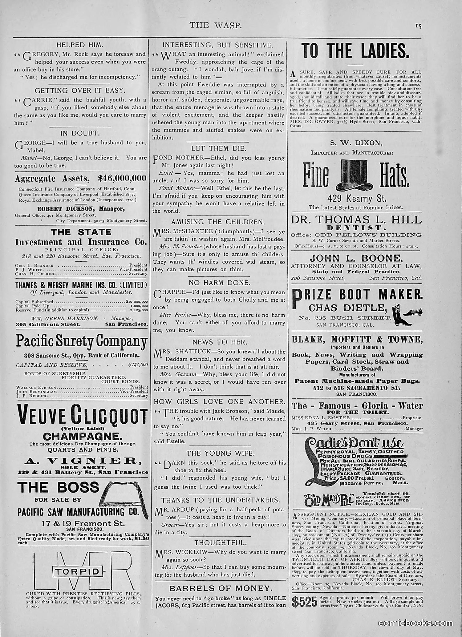 The Wasp — 1893 — page 244 of 514