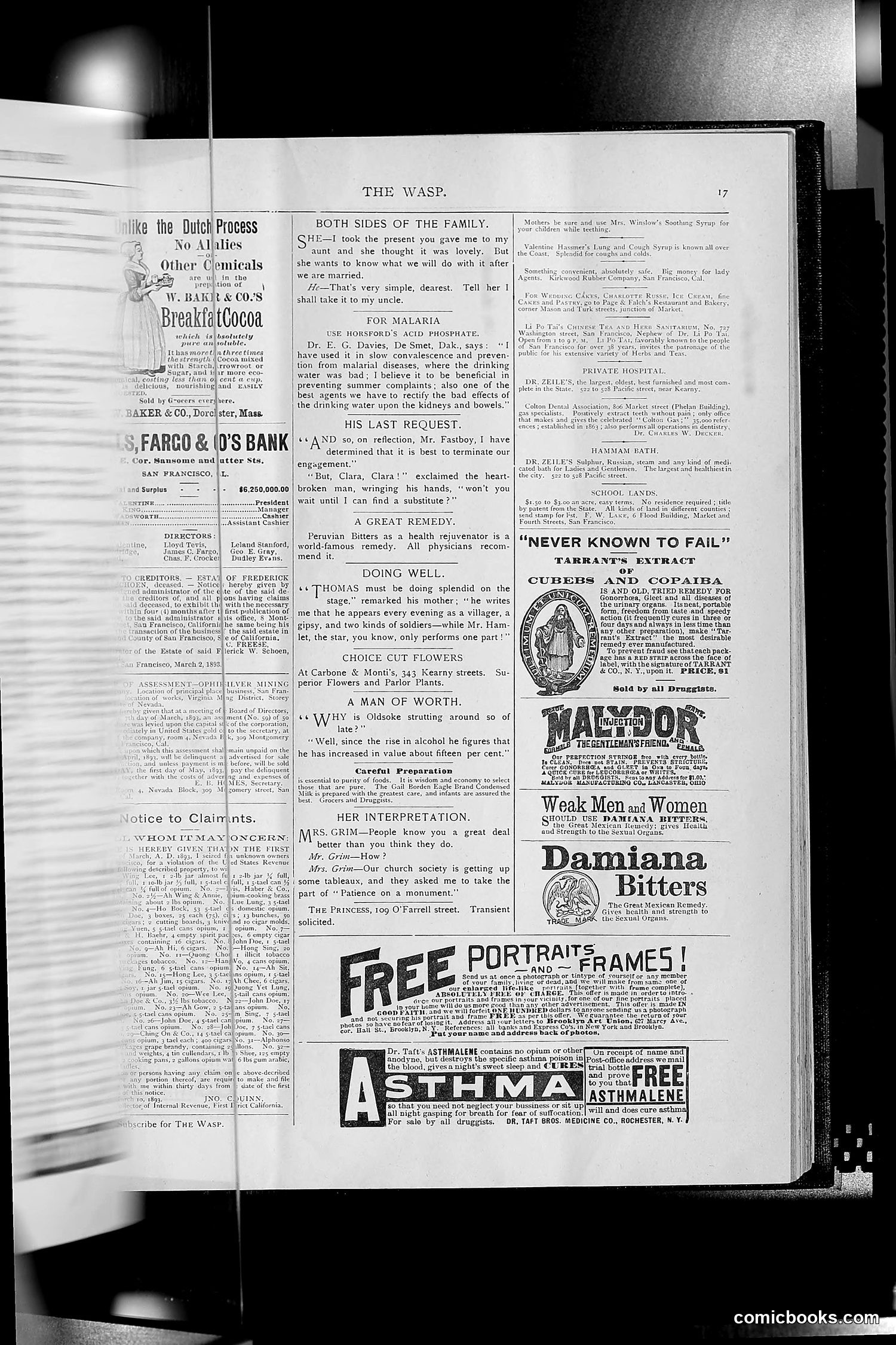 The Wasp — 1893 — page 246 of 514