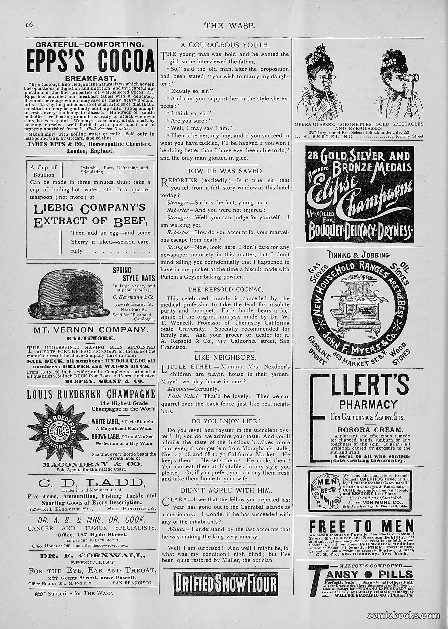The Wasp — 1893 — page 247 of 514