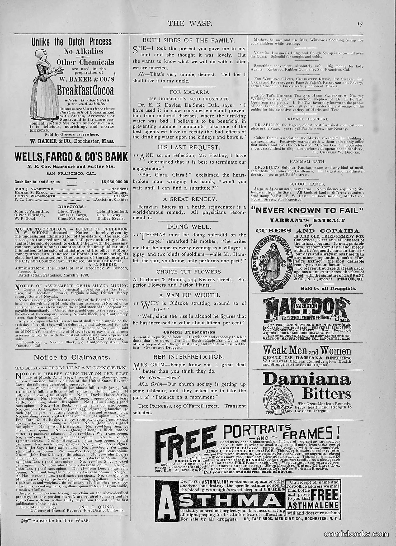 The Wasp — 1893 — page 248 of 514