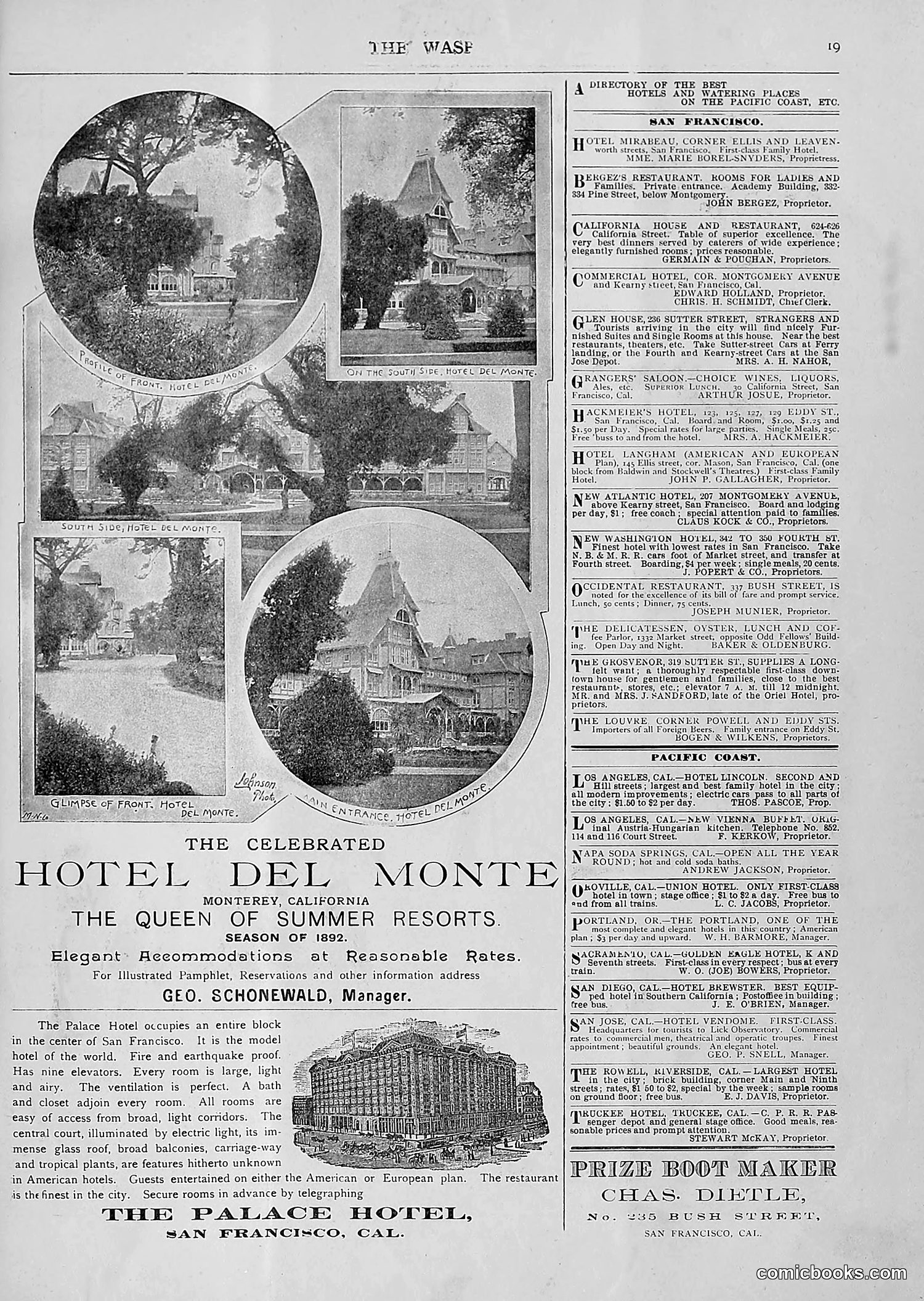 The Wasp — 1893 — page 26 of 514