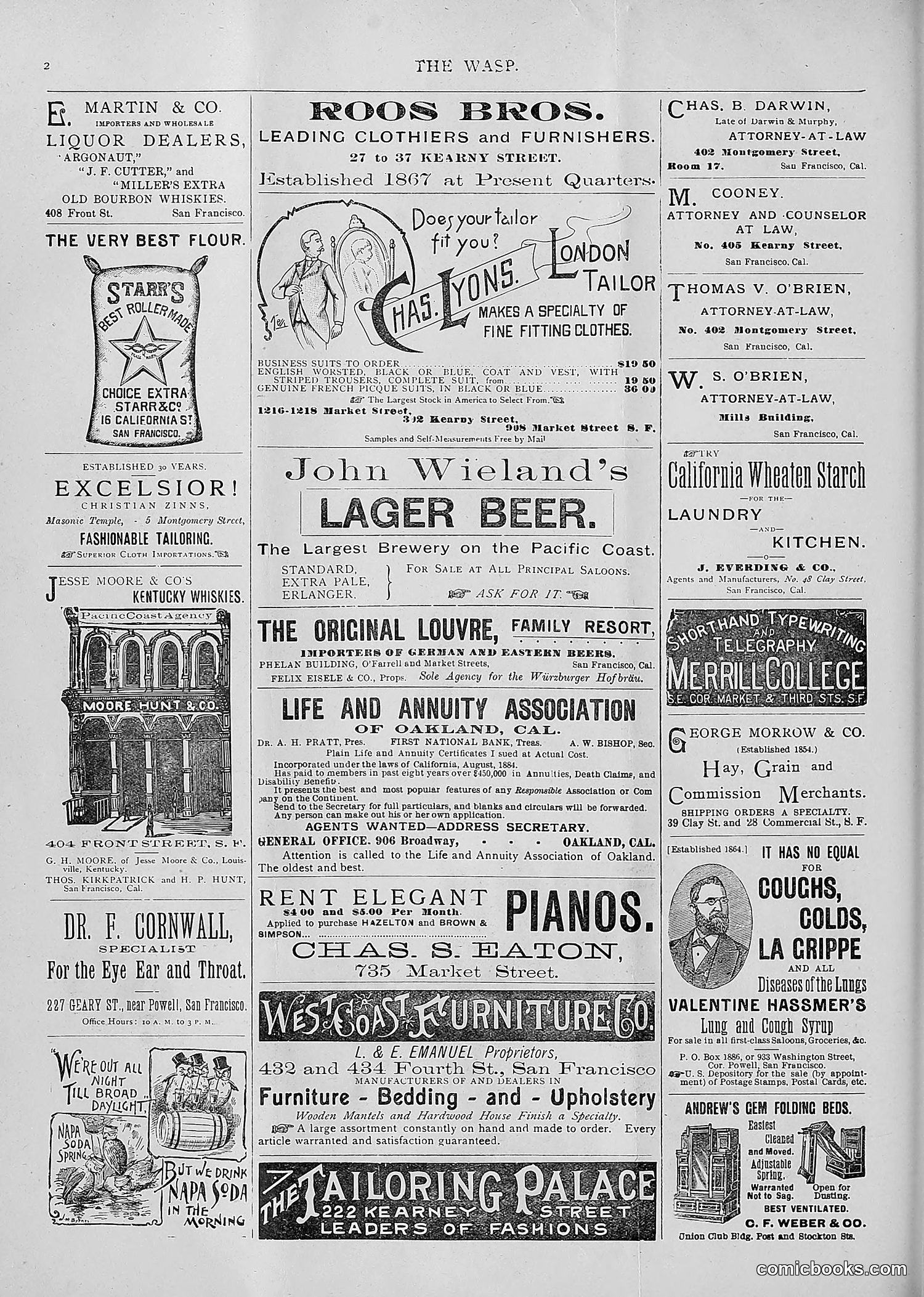 The Wasp — 1893 — page 253 of 514