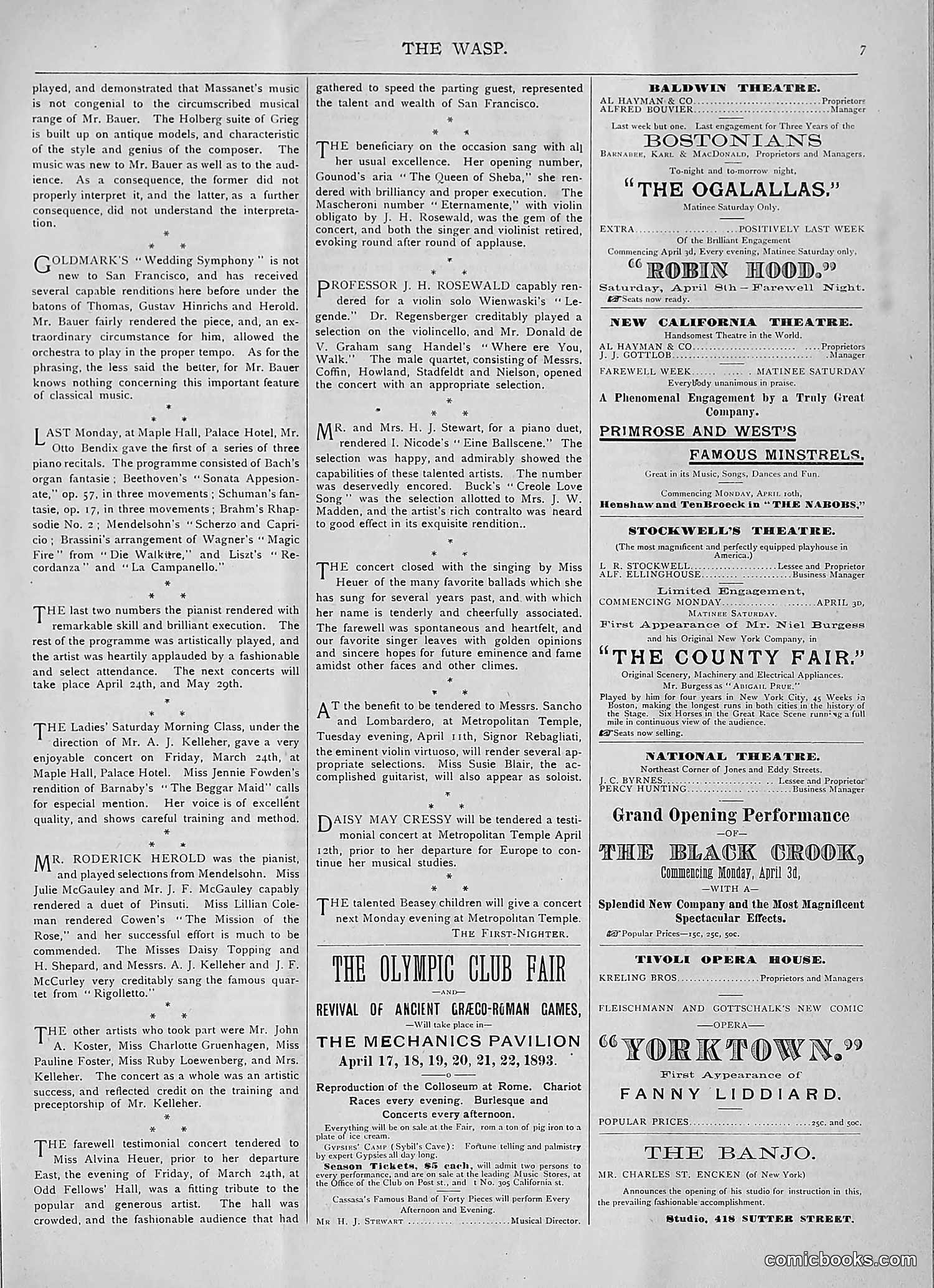 The Wasp — 1893 — page 258 of 514