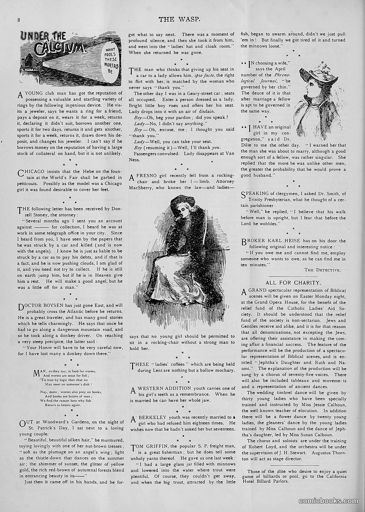 The Wasp — 1893 — page 259 of 514