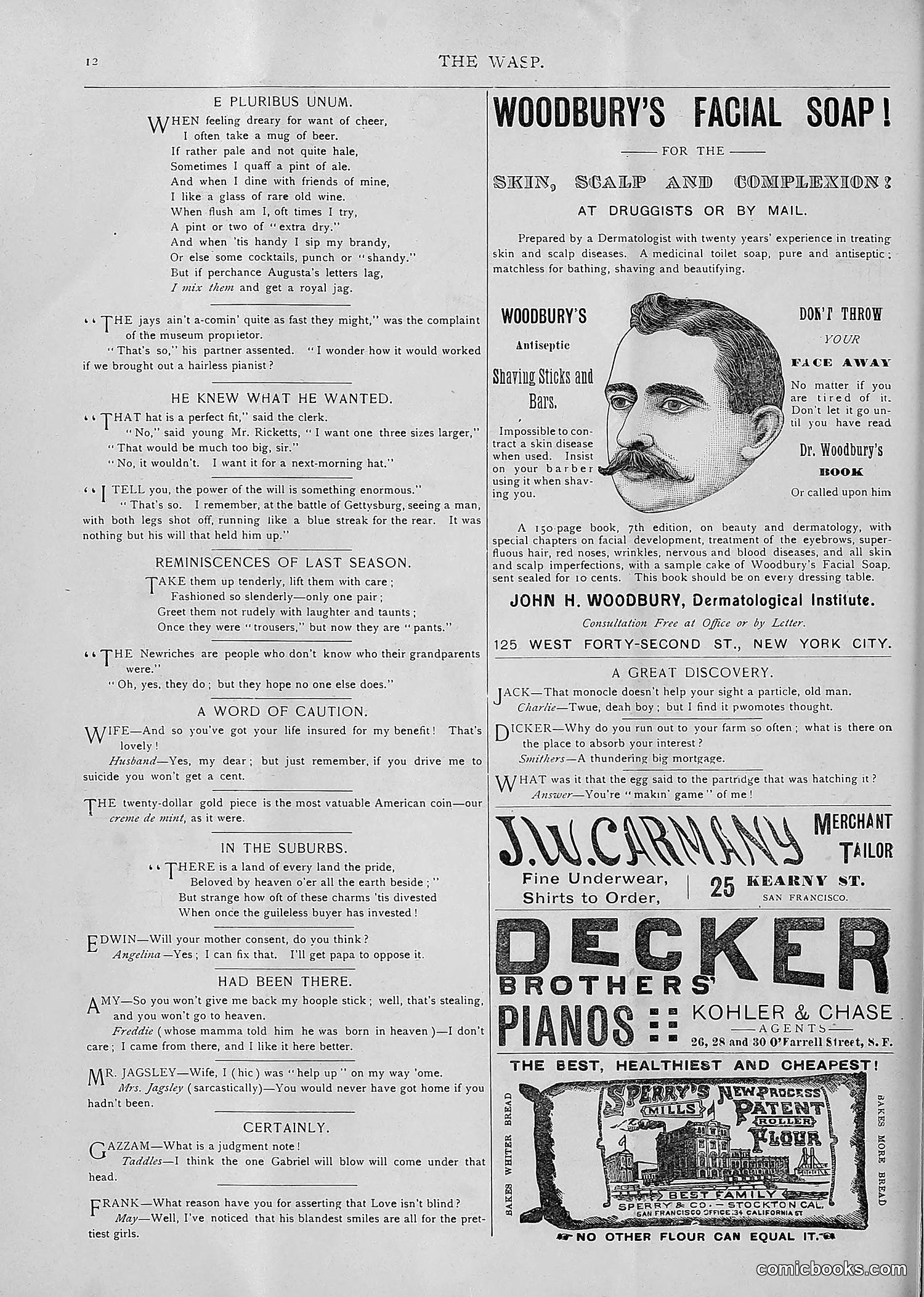 The Wasp — 1893 — page 263 of 514
