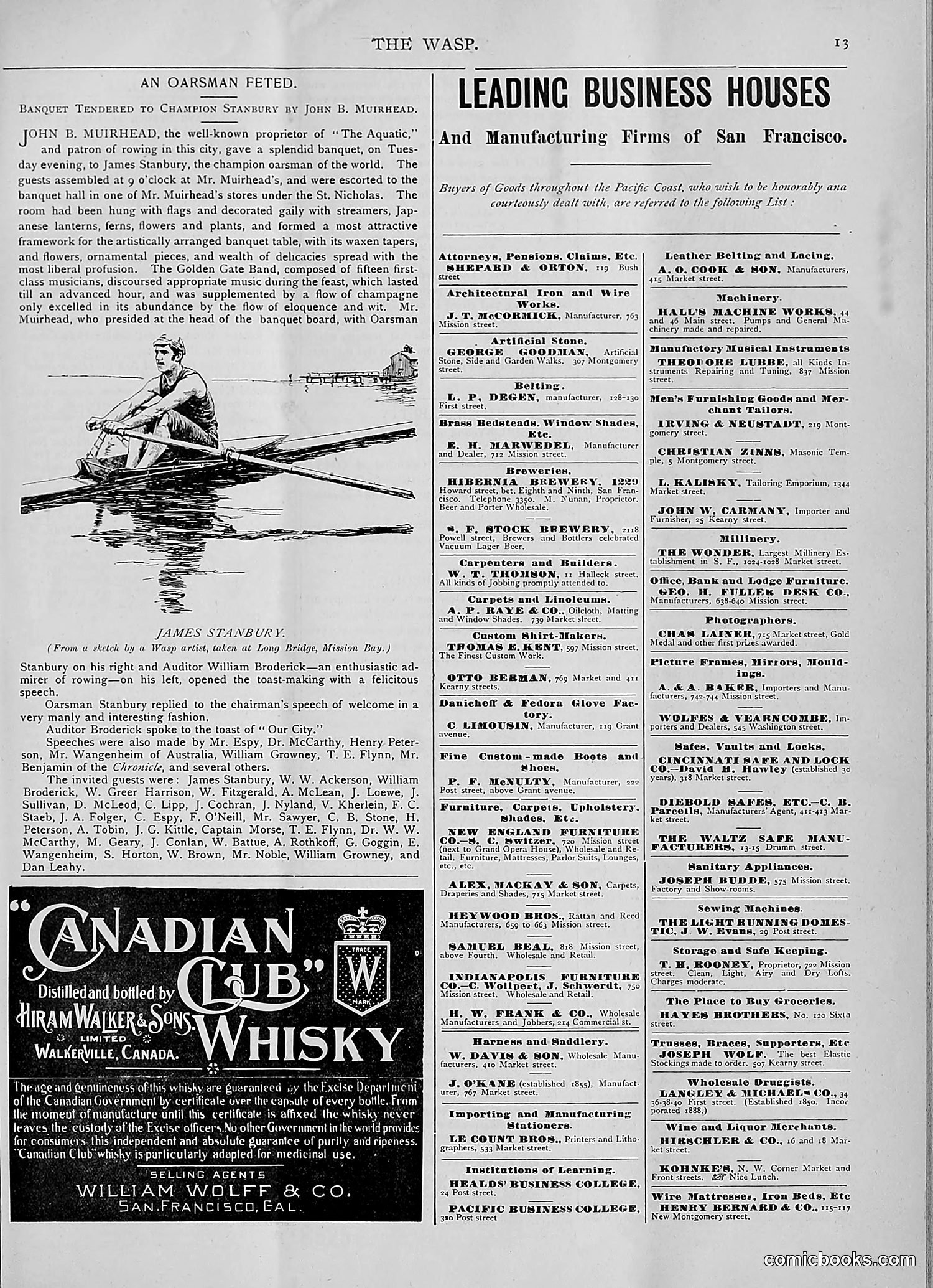 The Wasp — 1893 — page 264 of 514