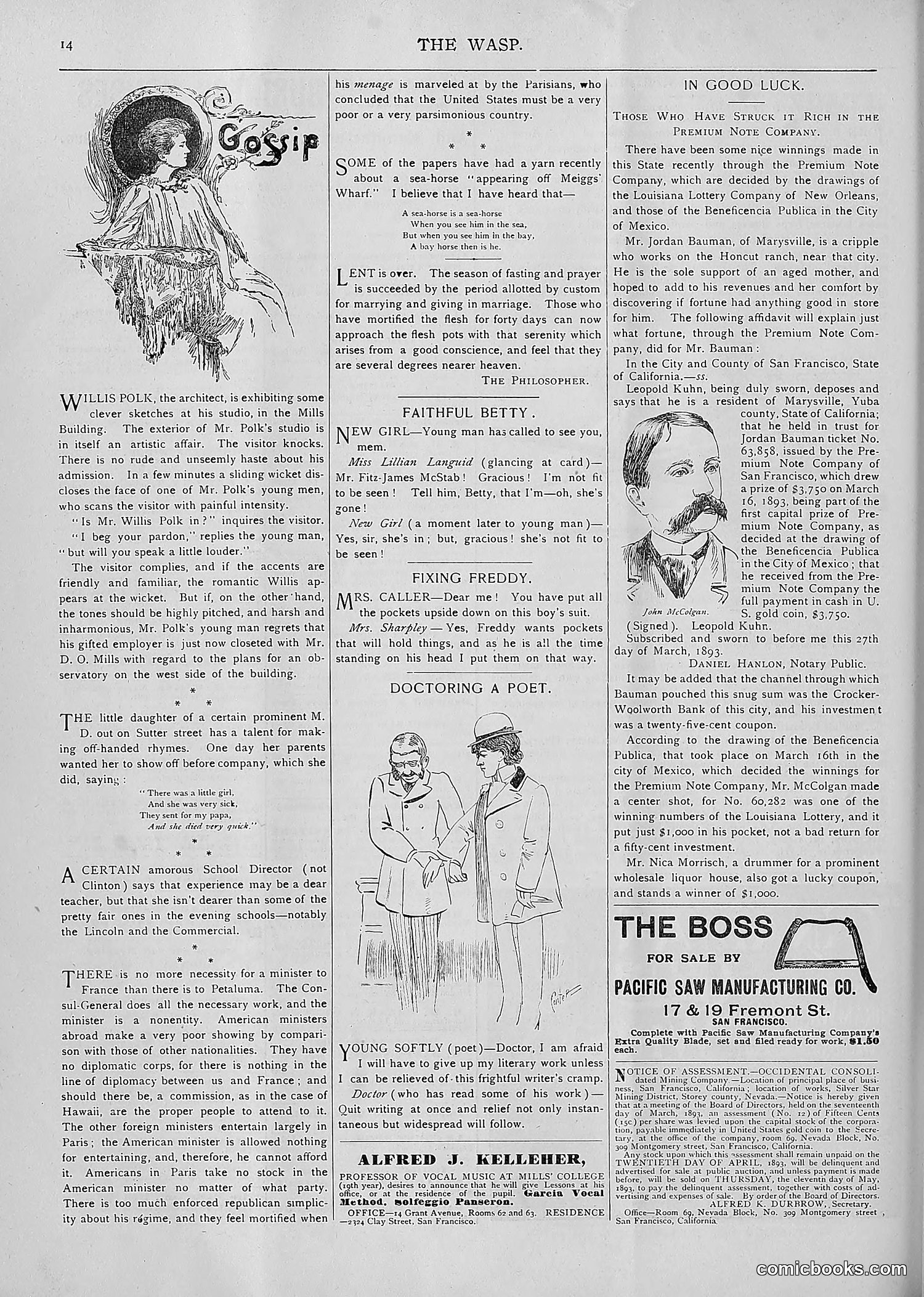 The Wasp — 1893 — page 265 of 514