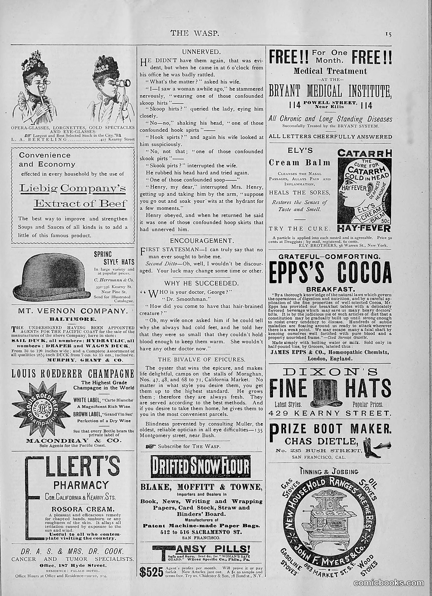 The Wasp — 1893 — page 266 of 514
