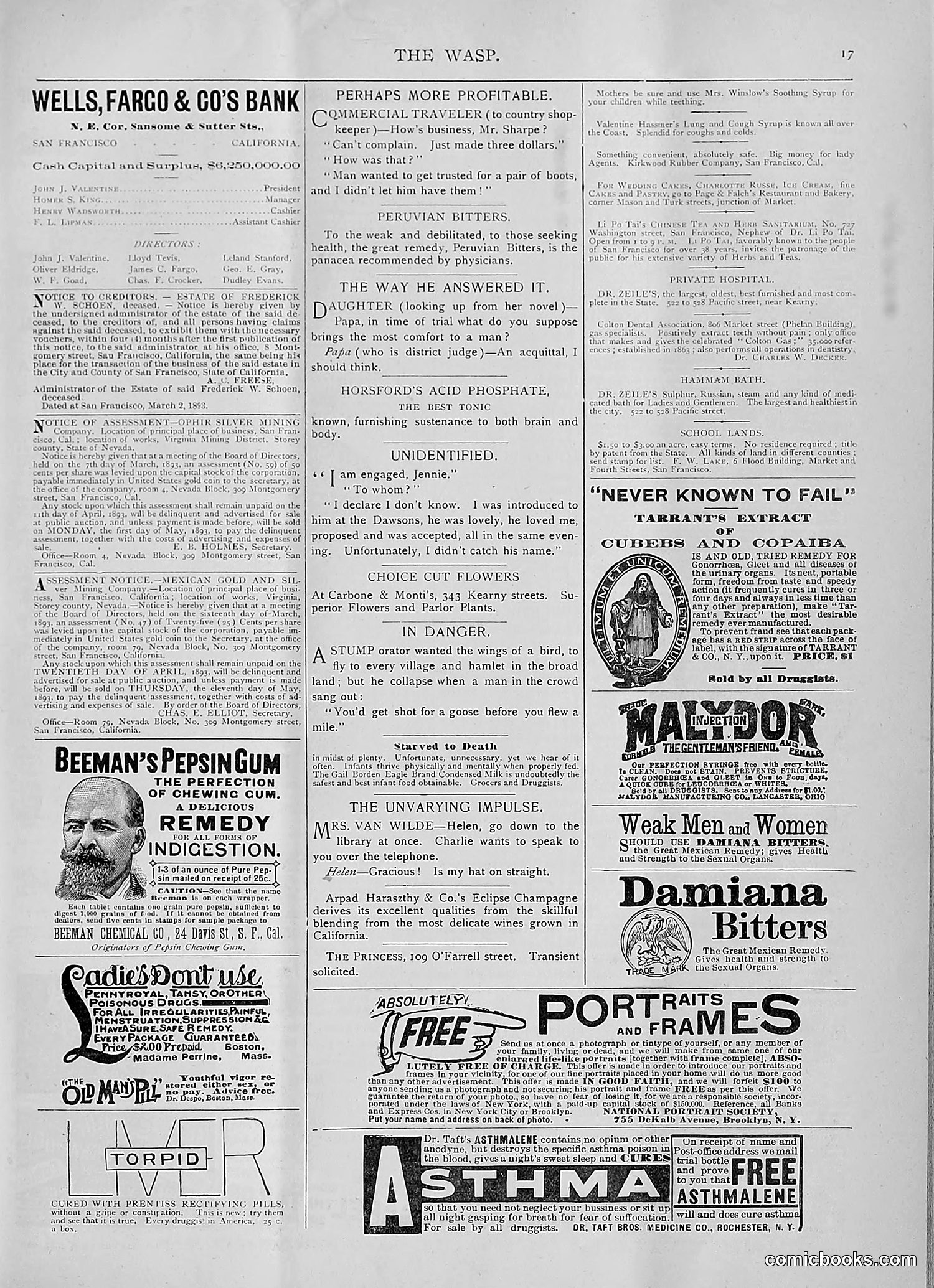 The Wasp — 1893 — page 268 of 514