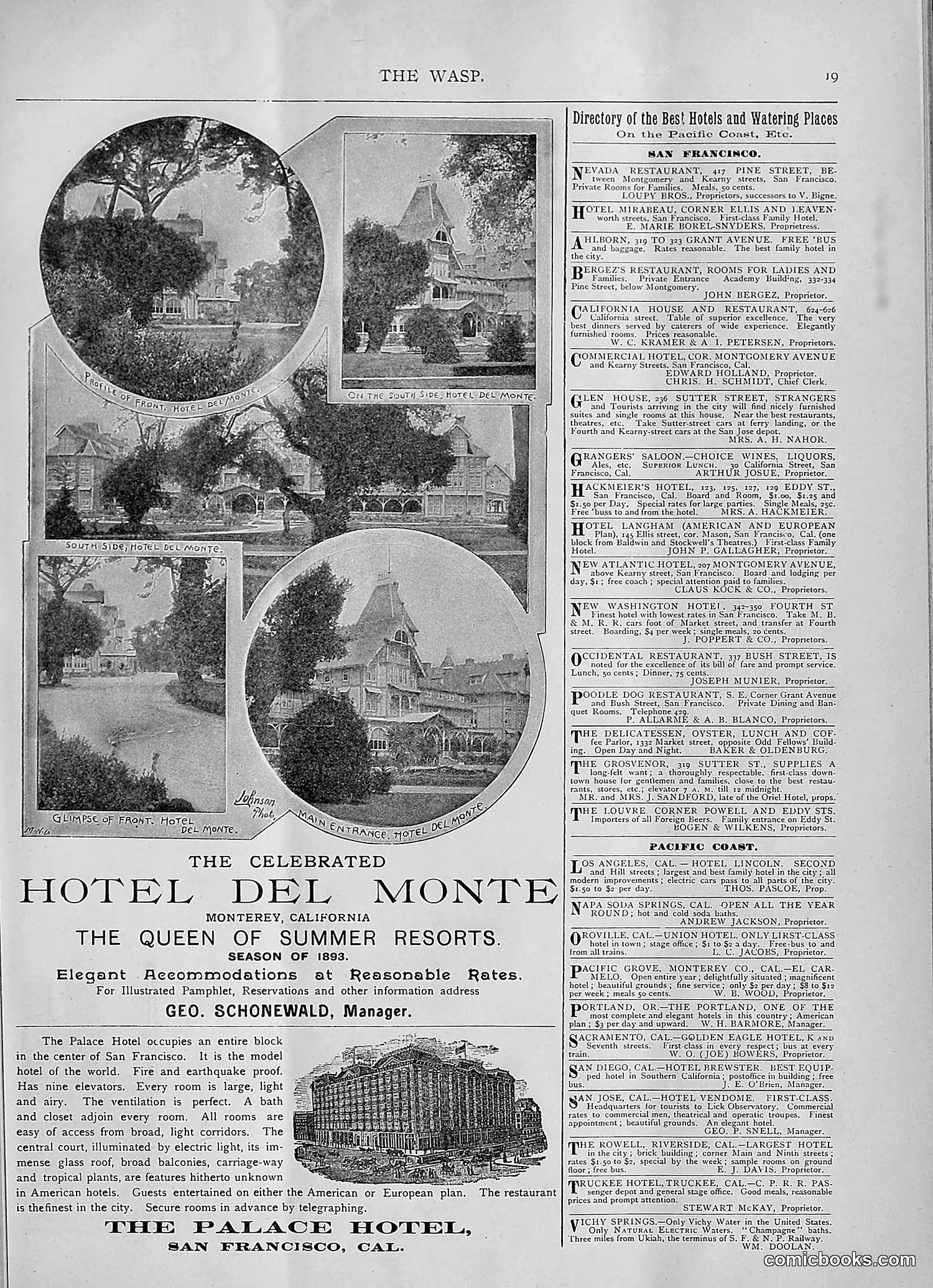 The Wasp — 1893 — page 270 of 514
