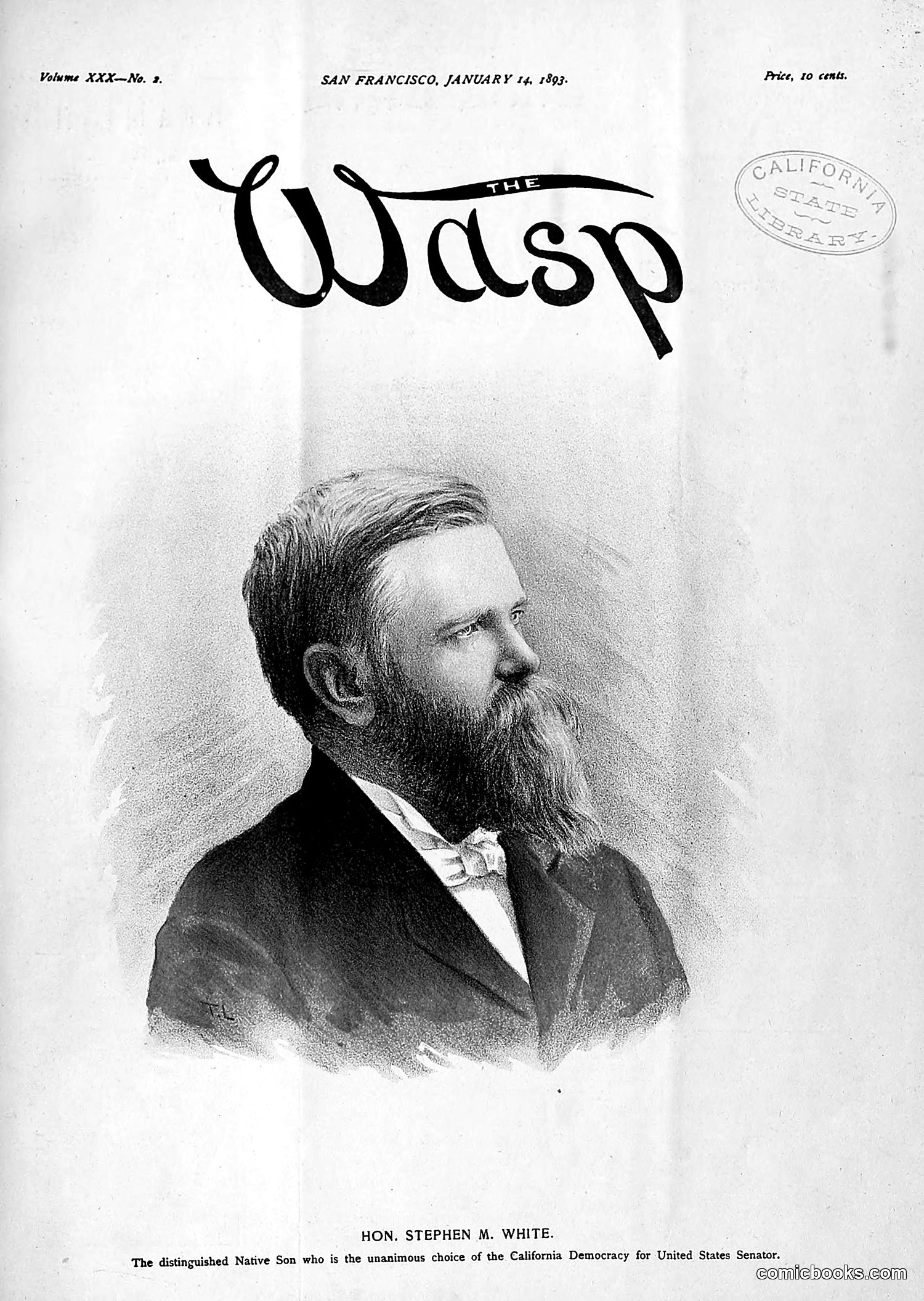 The Wasp — 1893 — page 28 of 514