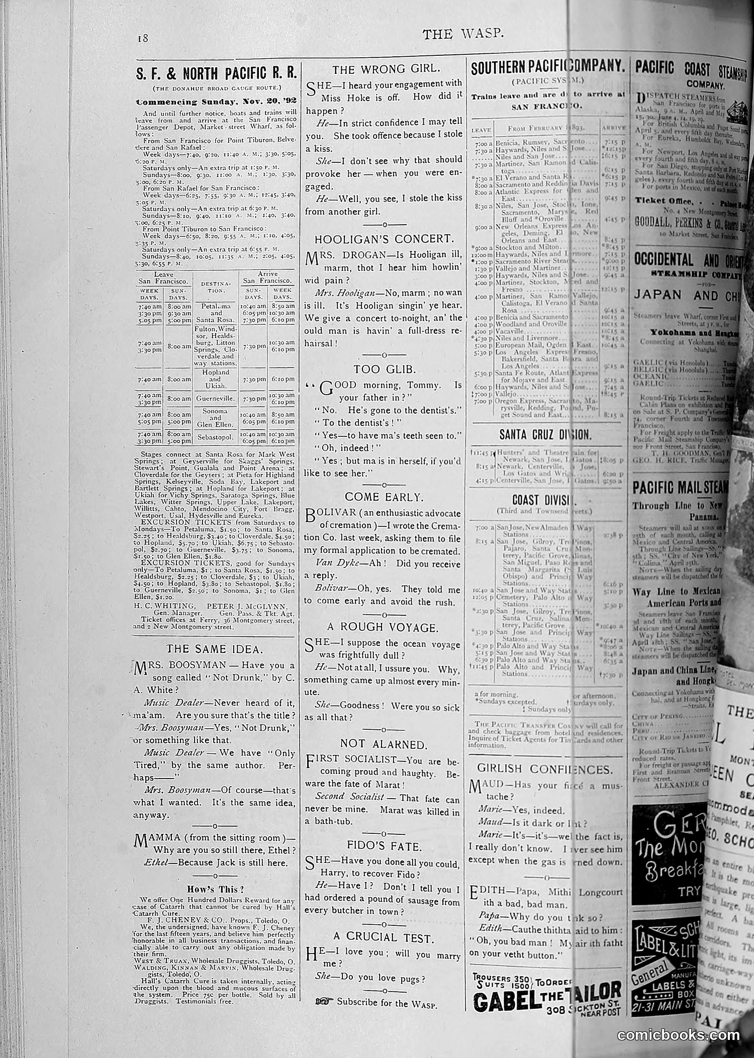 The Wasp — 1893 — page 271 of 514