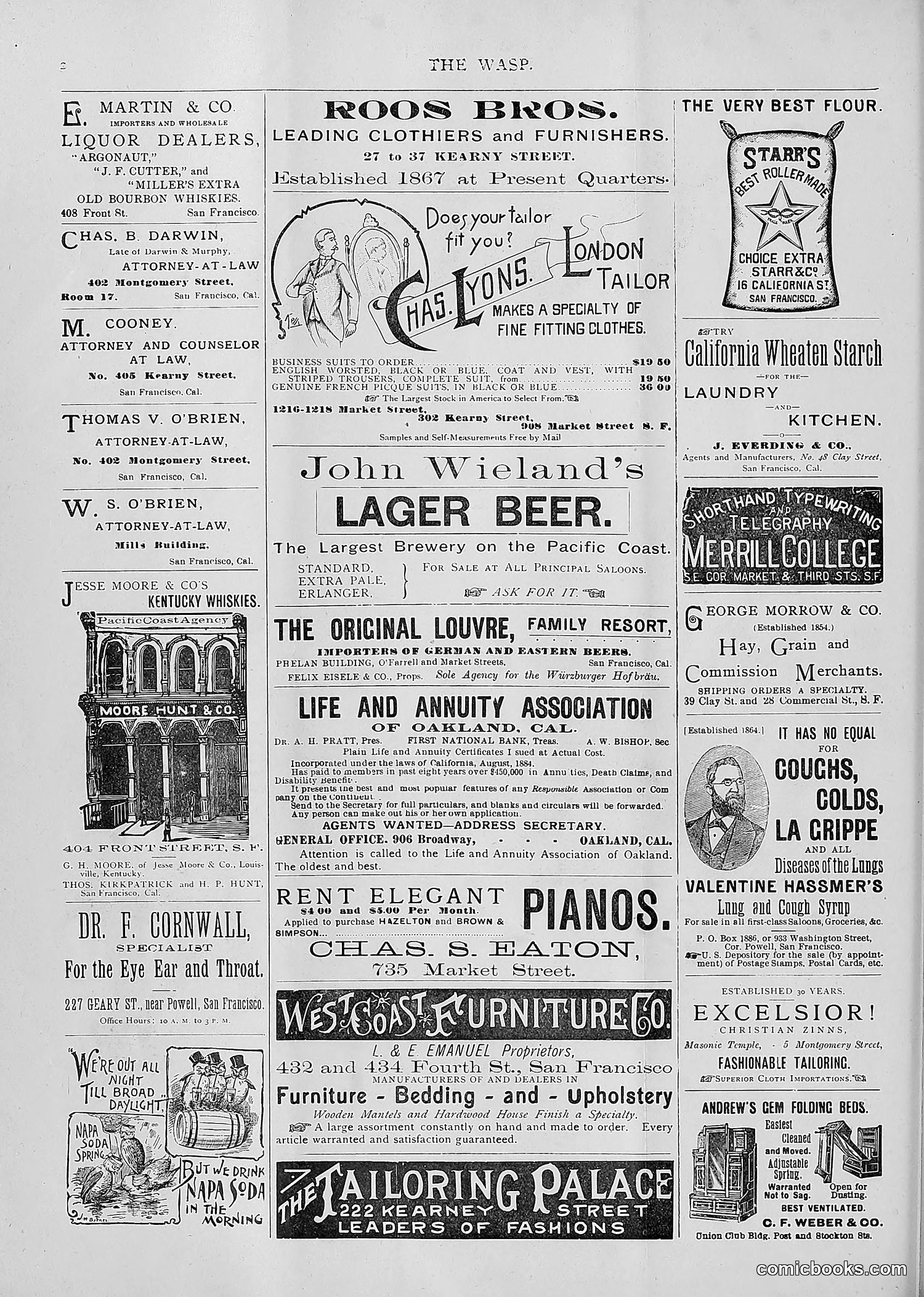 The Wasp — 1893 — page 275 of 514